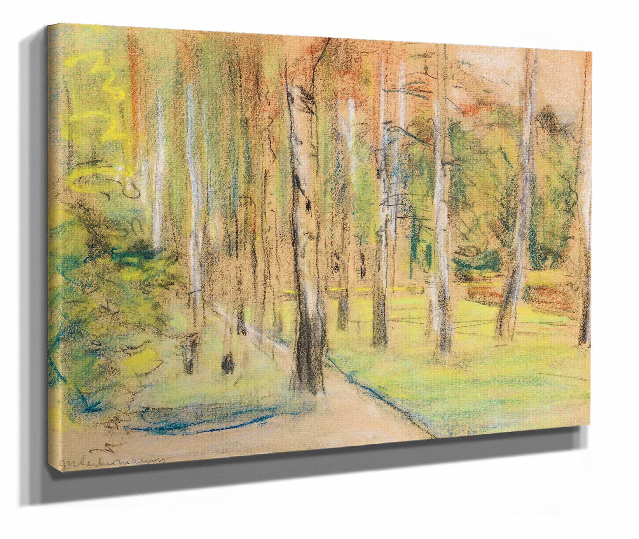 Die Birkenallee In Wannsee Nach Nordwesten by Max Liebermann