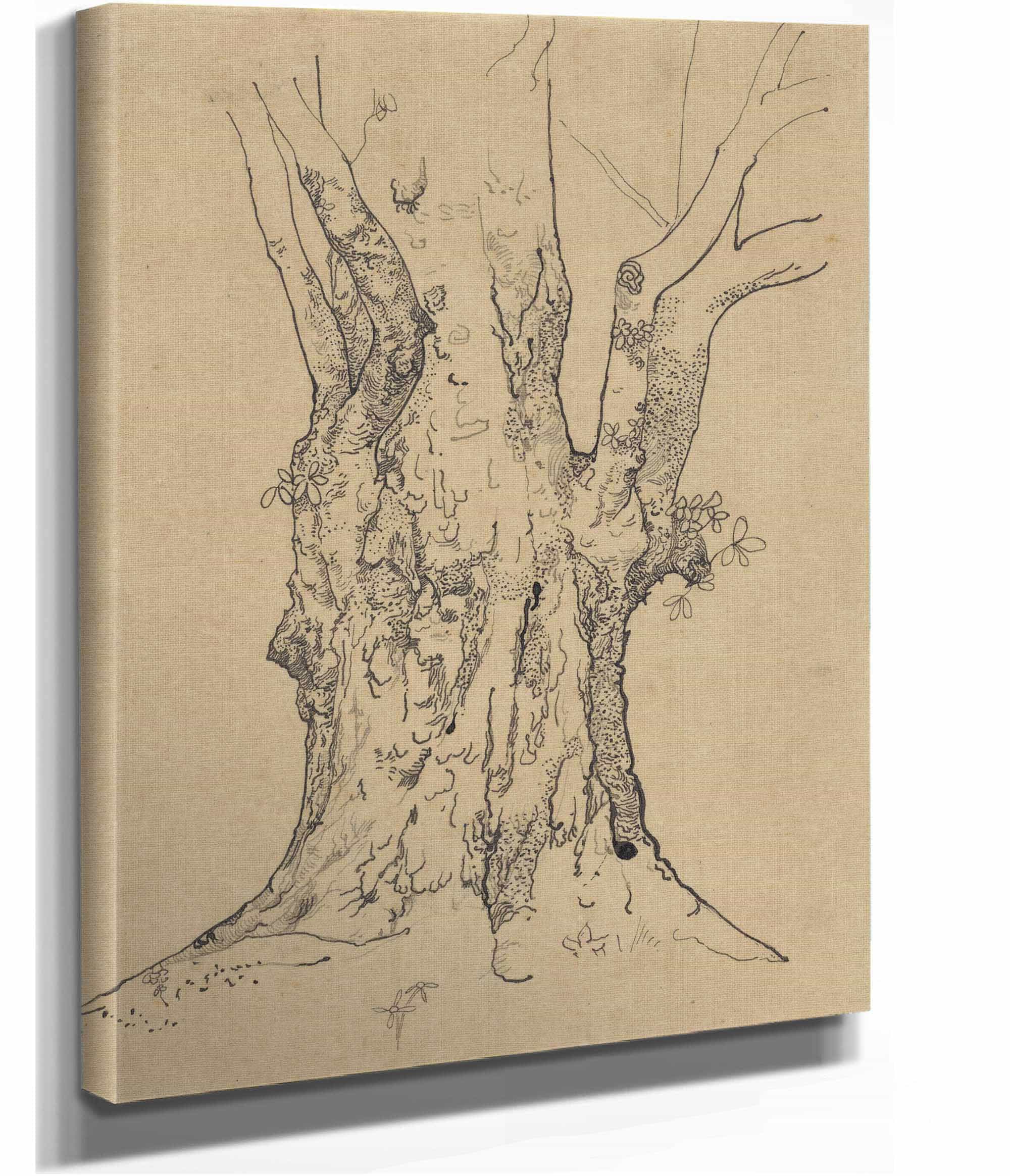 Dikke Boomstam  by Richard Nicolaus Roland Holst