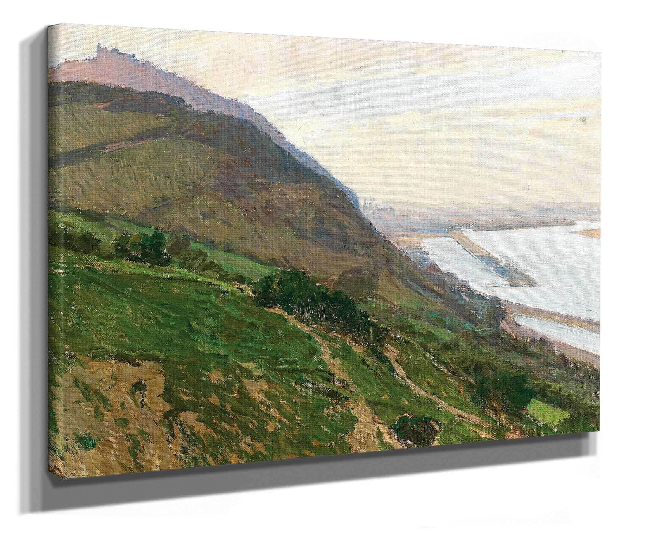 Donauansicht by Carl Moll