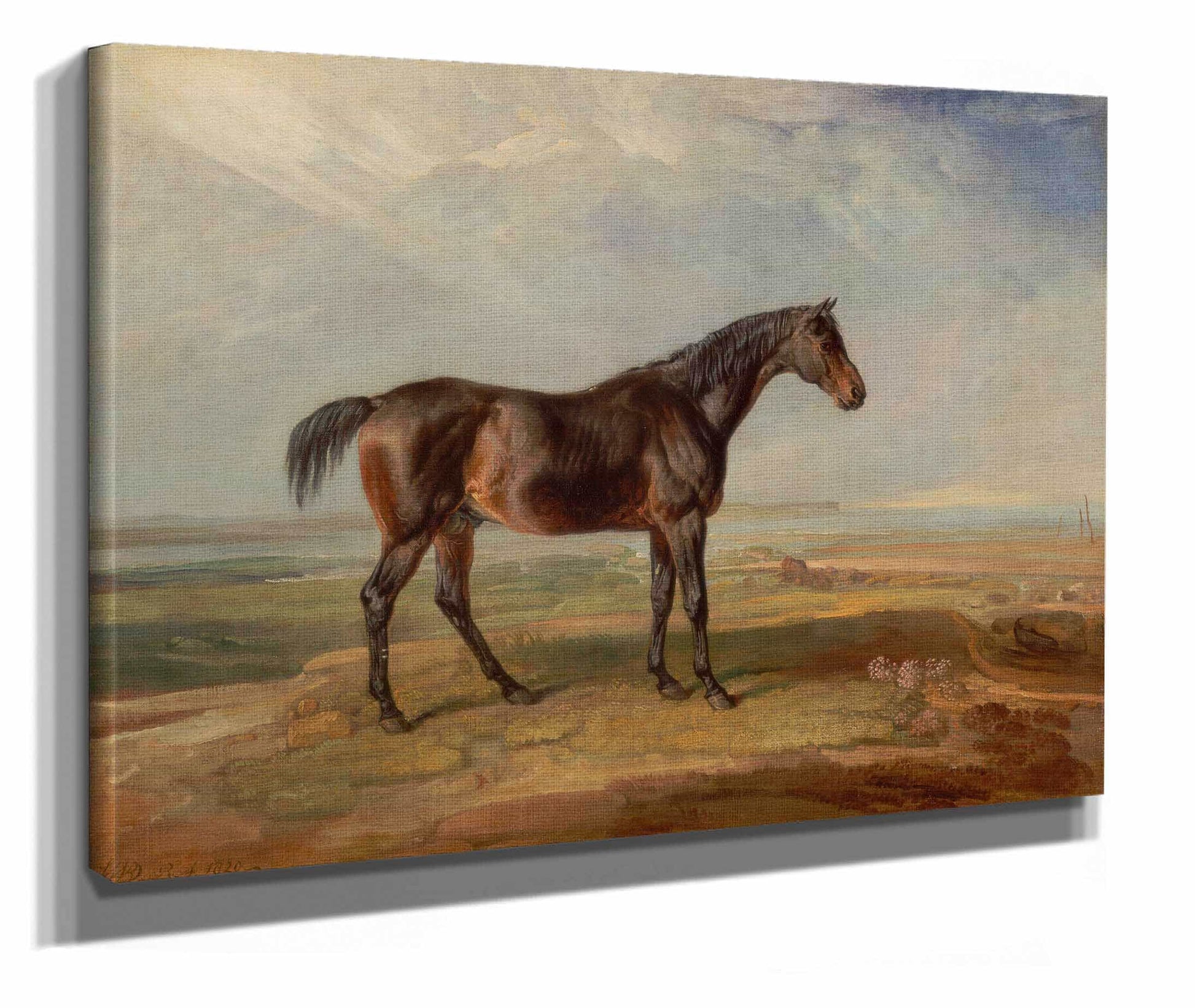 Dr Syntax A Bay Racehorse Standing In A Coastal Landscape An Estuary Beyond by James Ward