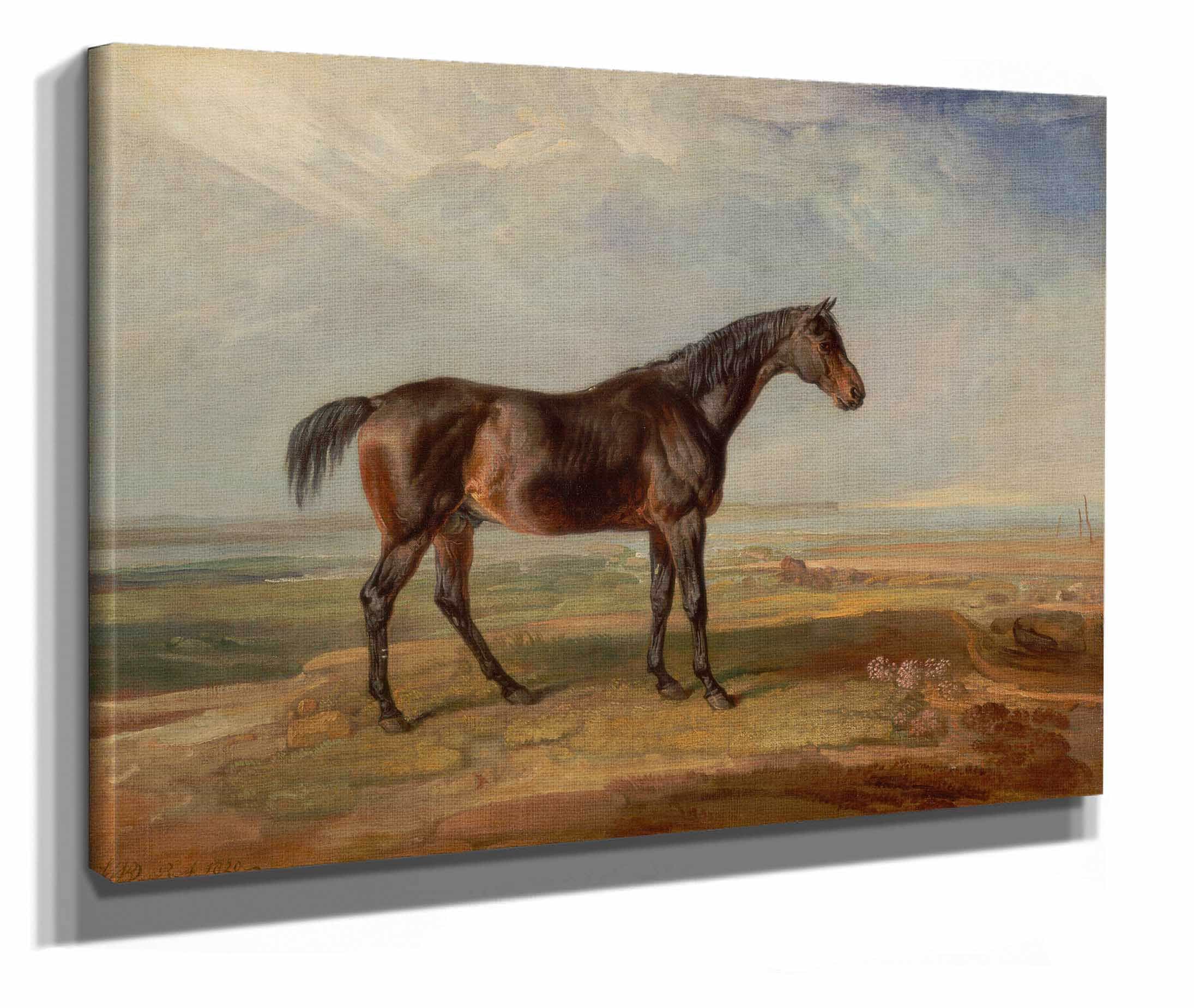 Dr Syntax A Bay Racehorse Standing In A Coastal Landscape An Estuary Beyond by James Ward