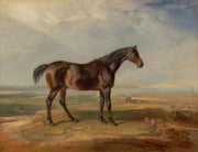 Dr Syntax A Bay Racehorse Standing In A Coastal Landscape An Estuary Beyond by James Ward