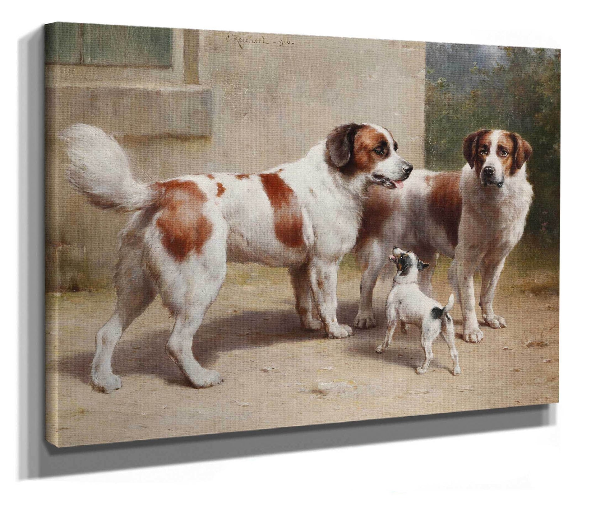Drei Hunde by Carl Reichert