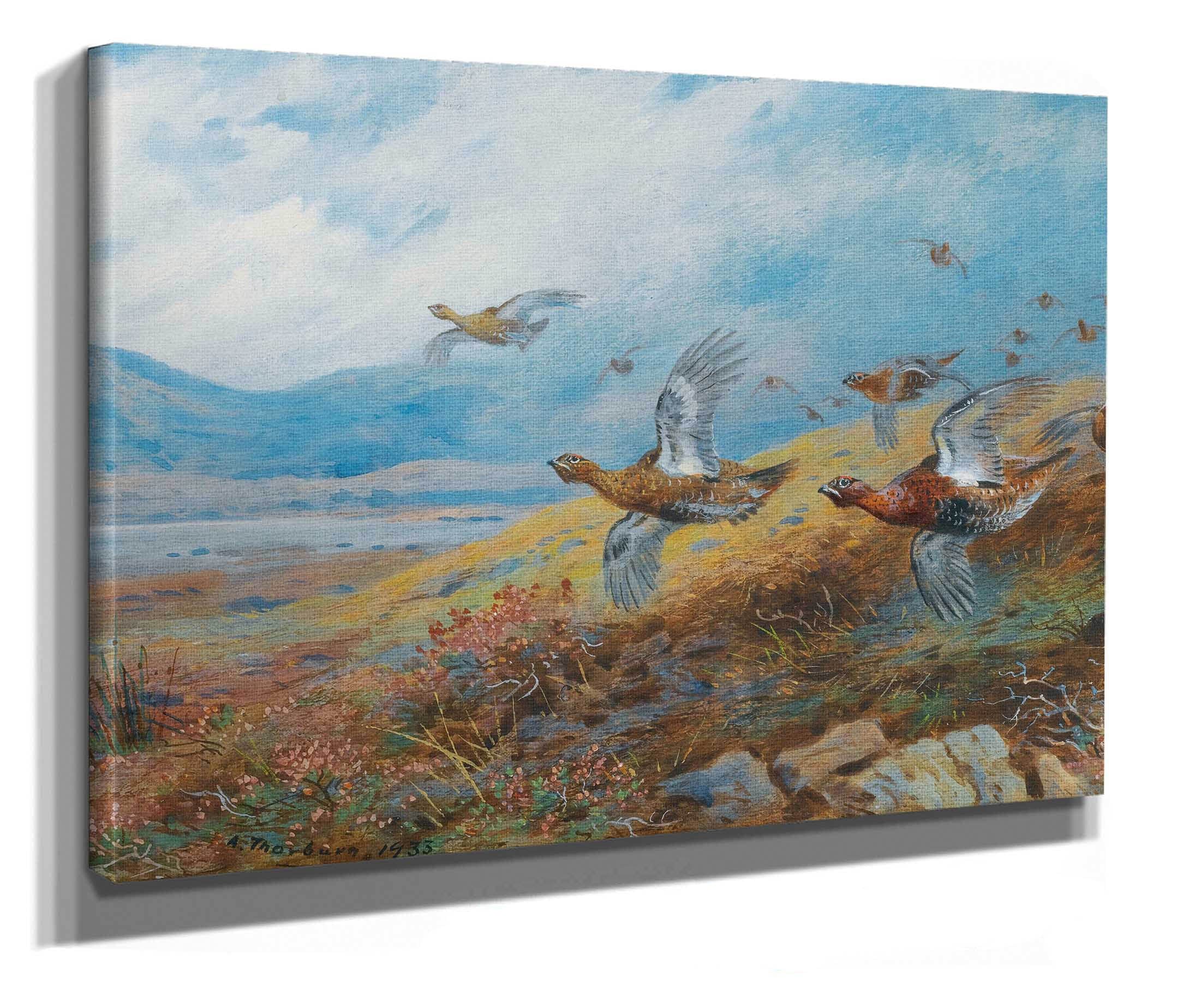 Driven Grouse by Archibald Thorburn