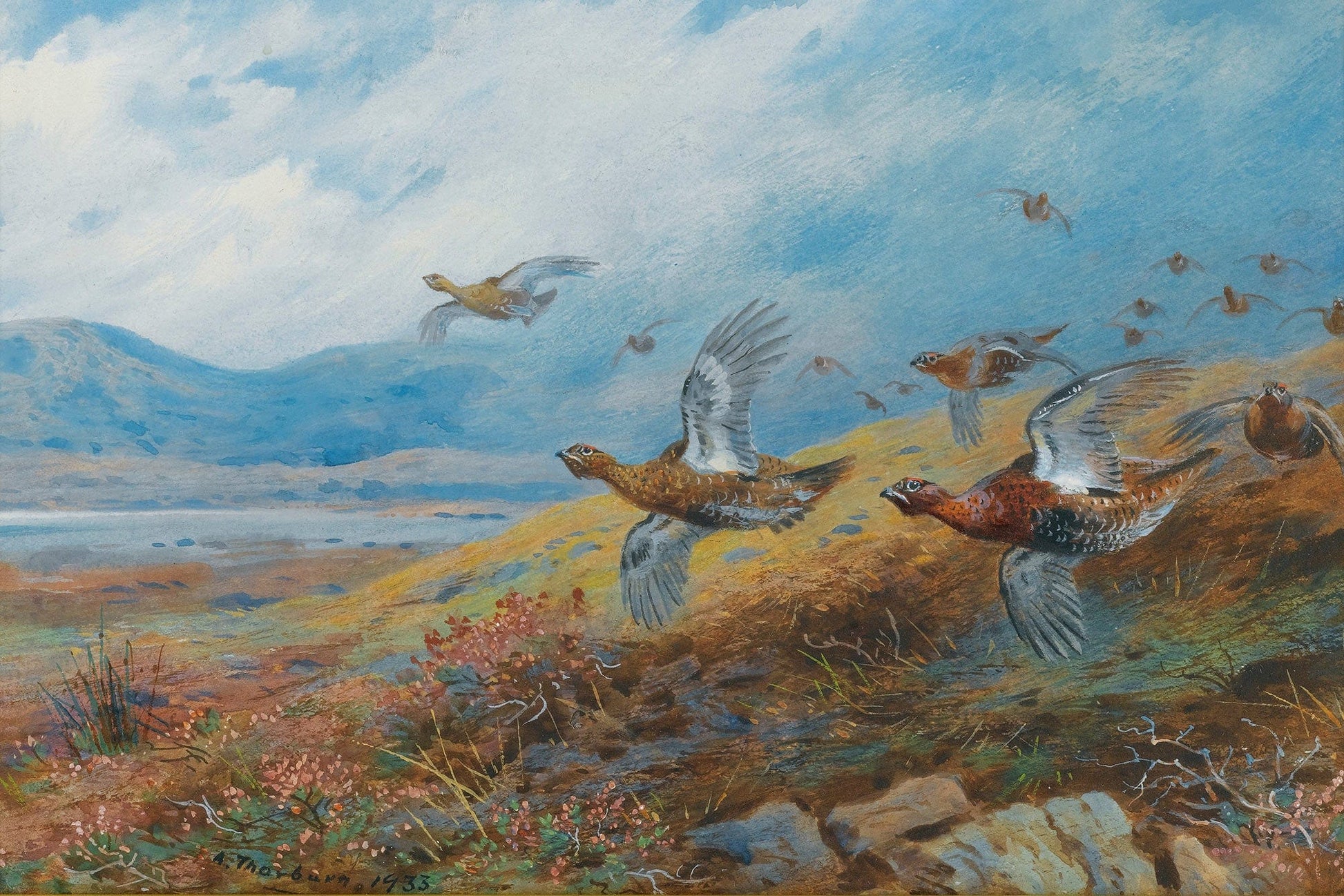 Driven Grouse by Archibald Thorburn