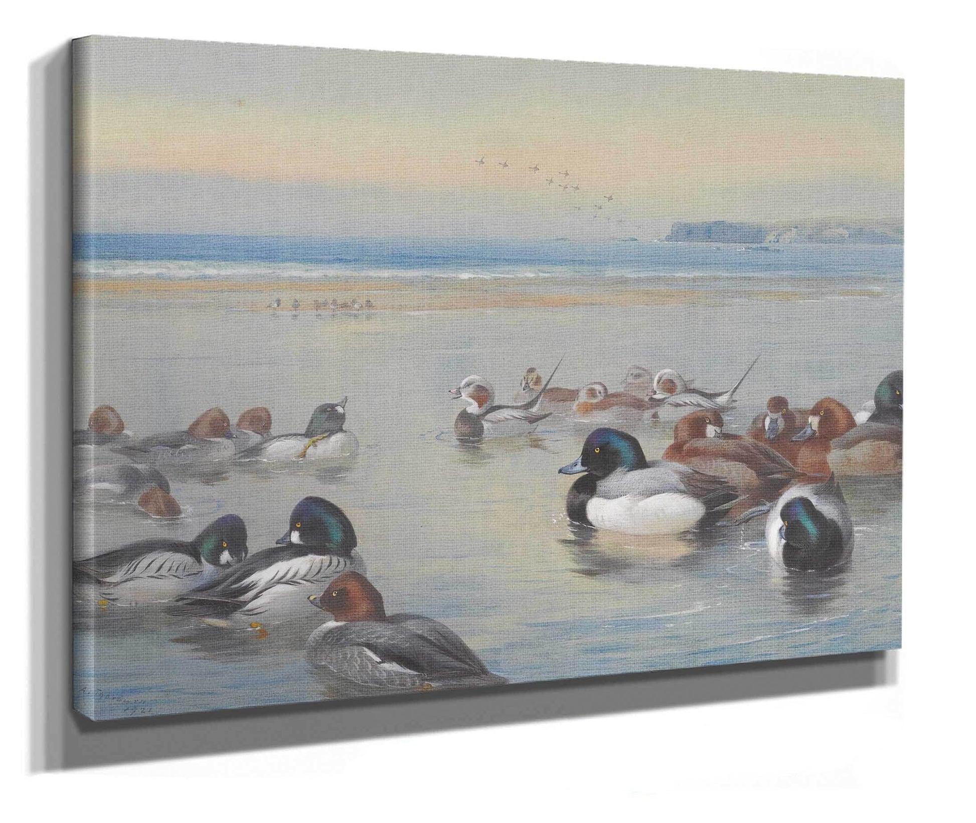 Ducks Along The Shoreline by Archibald Thorburn