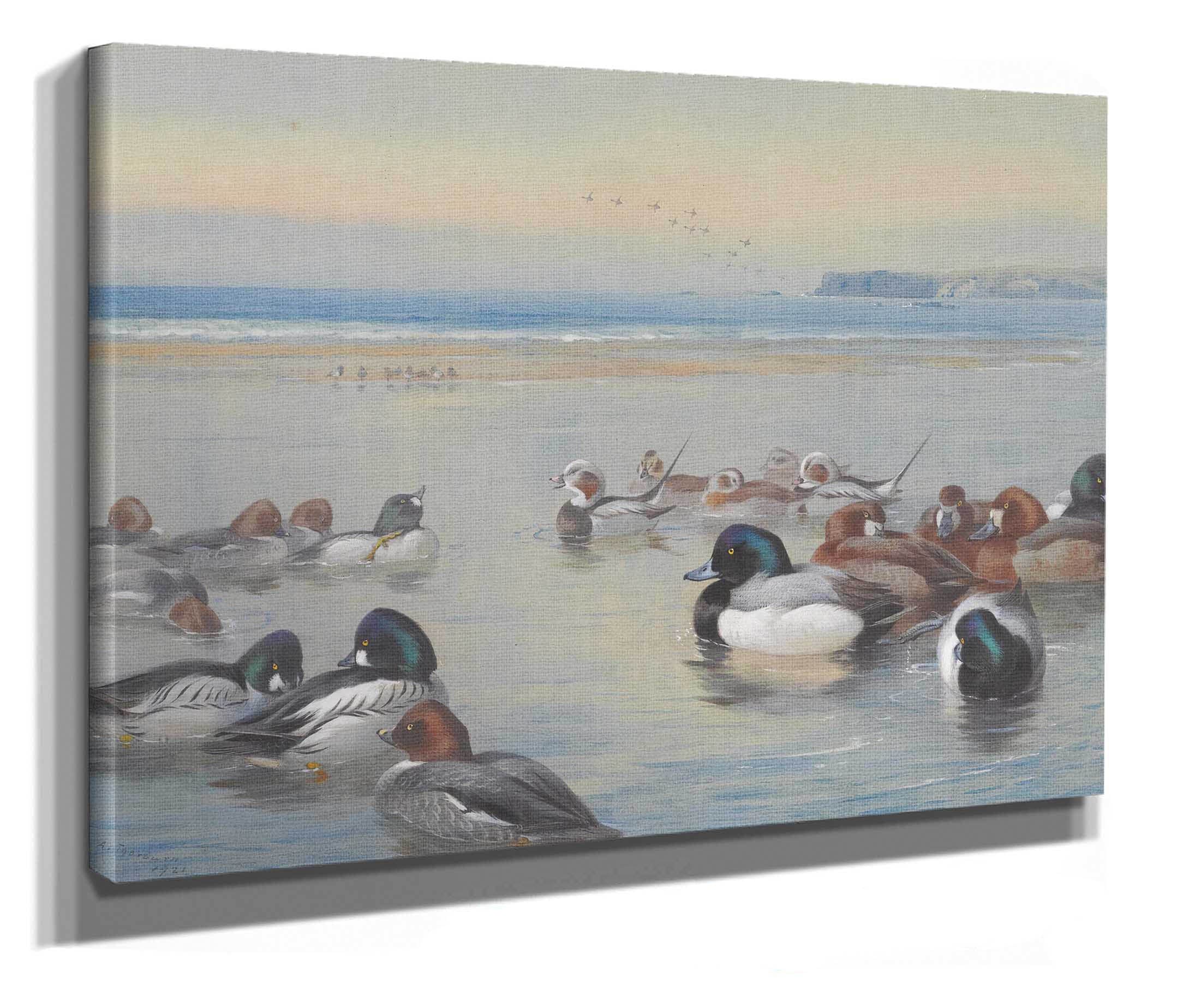 Ducks Along The Shoreline by Archibald Thorburn