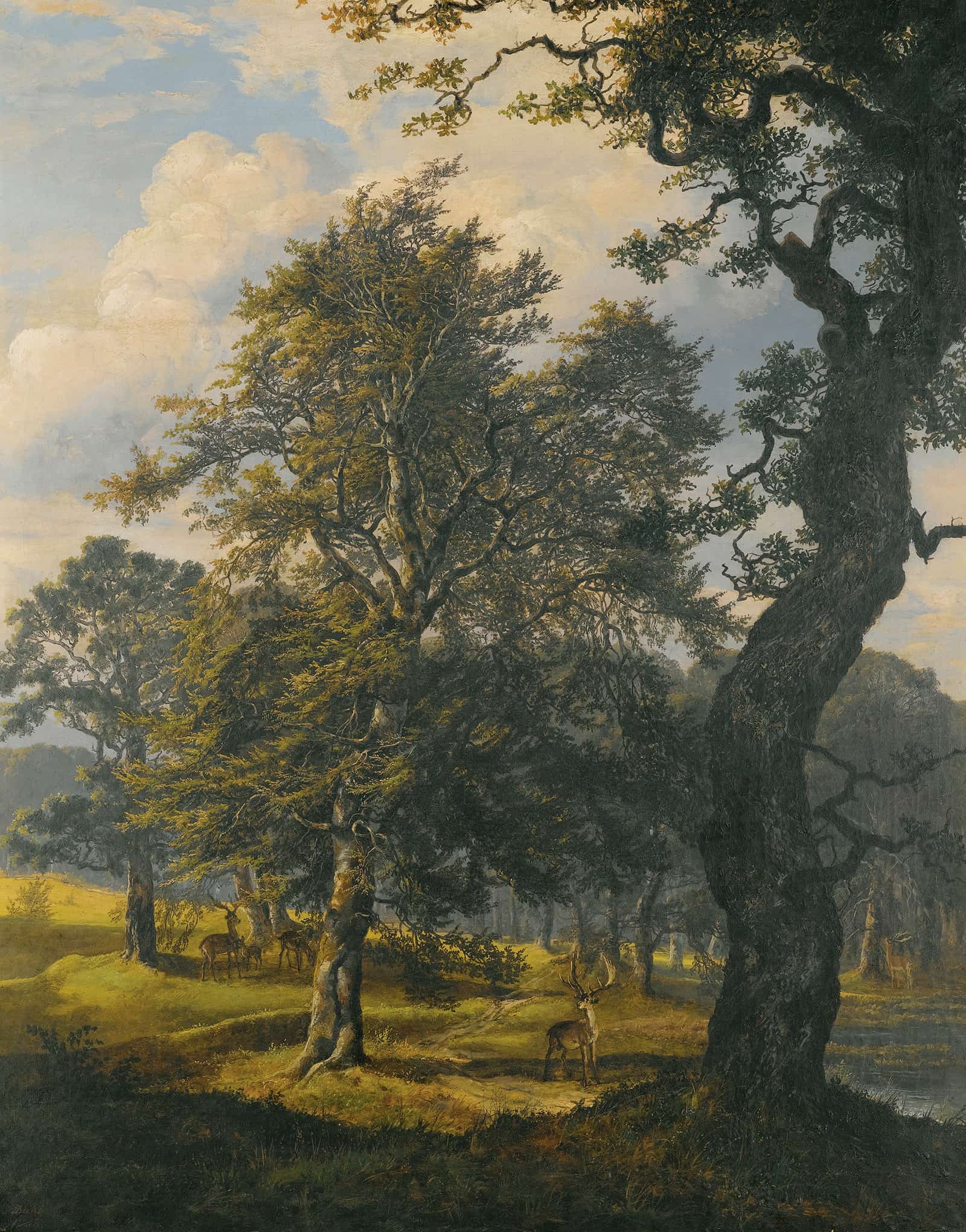 Dyrehaven Near Copenhagen by Johan Christian Dahl