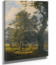 Dyrehaven Near Copenhagen by Johan Christian Dahl