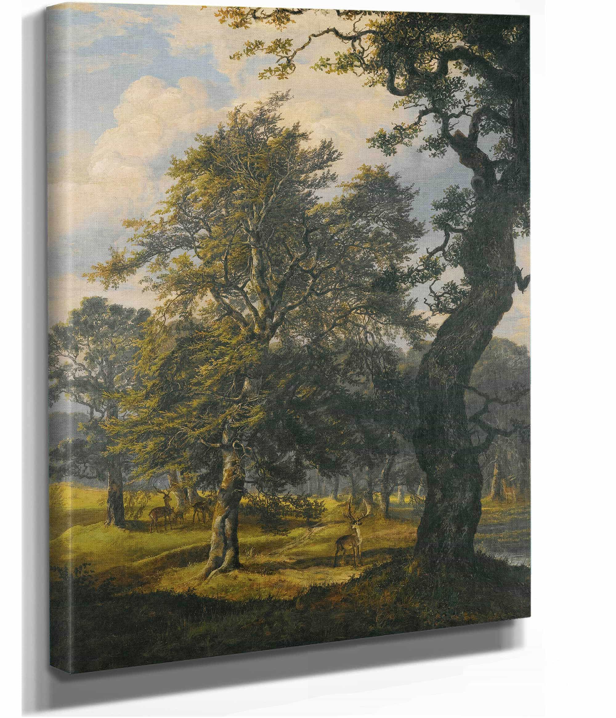 Dyrehaven Near Copenhagen by Johan Christian Dahl
