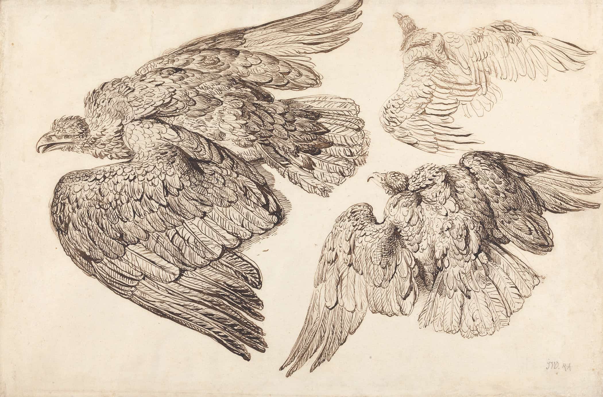 Eagles by James Ward
