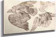 Eagles by James Ward