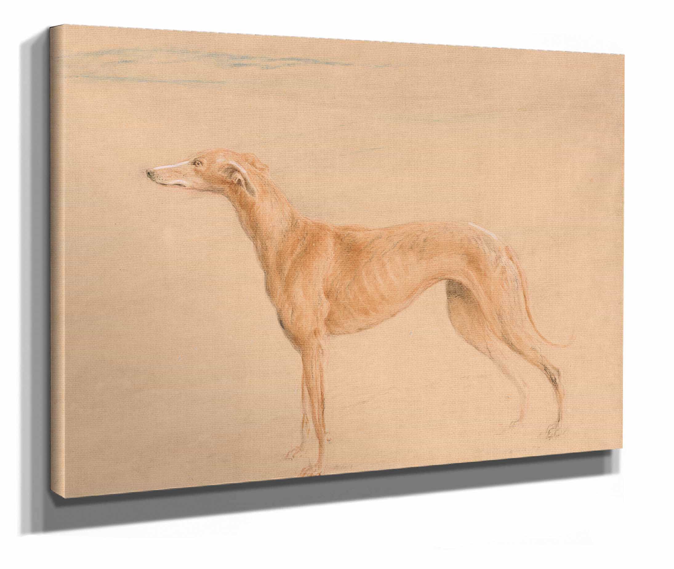 Earl Talbots Hound Thomasine by John Linnell