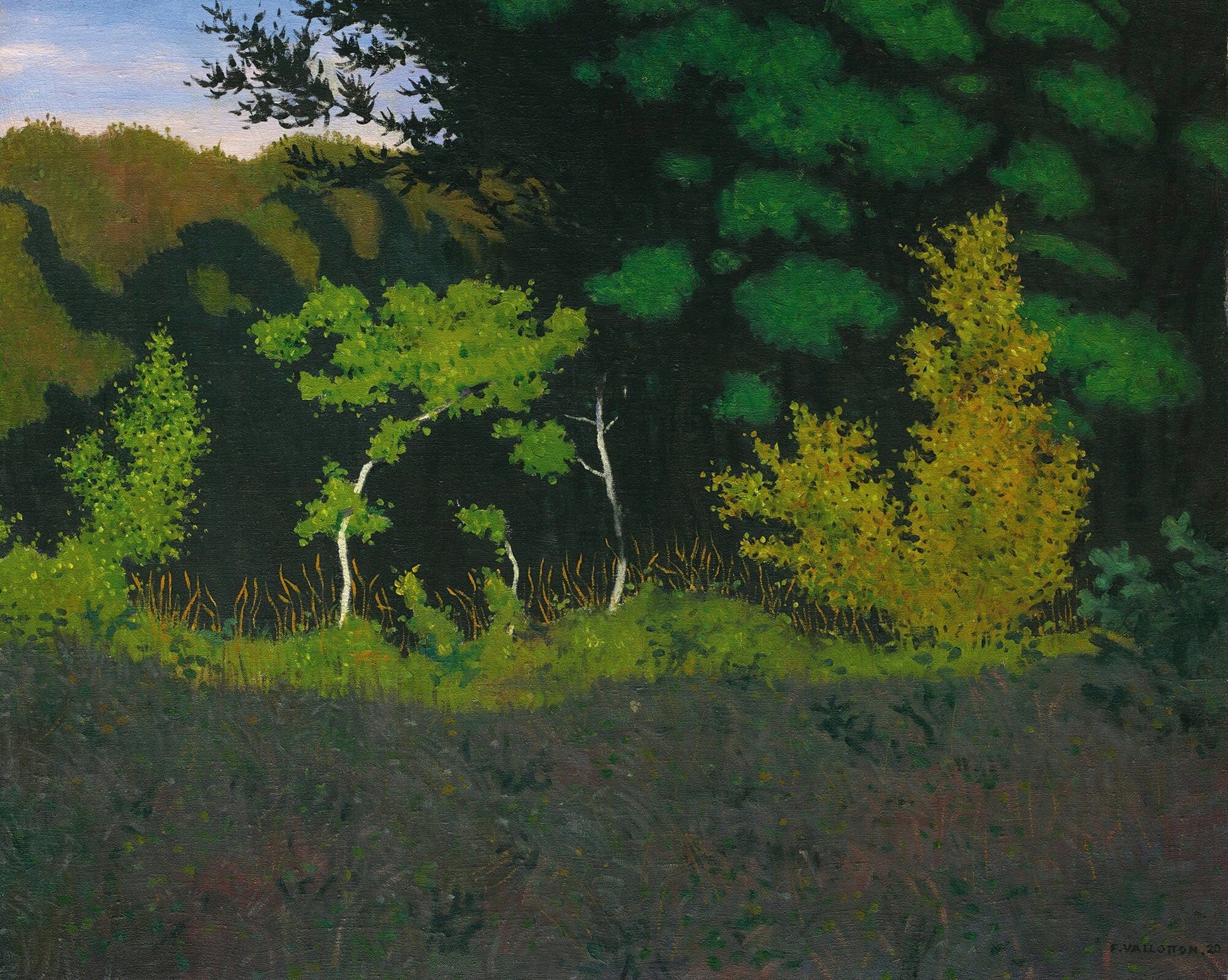 Edge Of The Wood by Felix Vallotton
