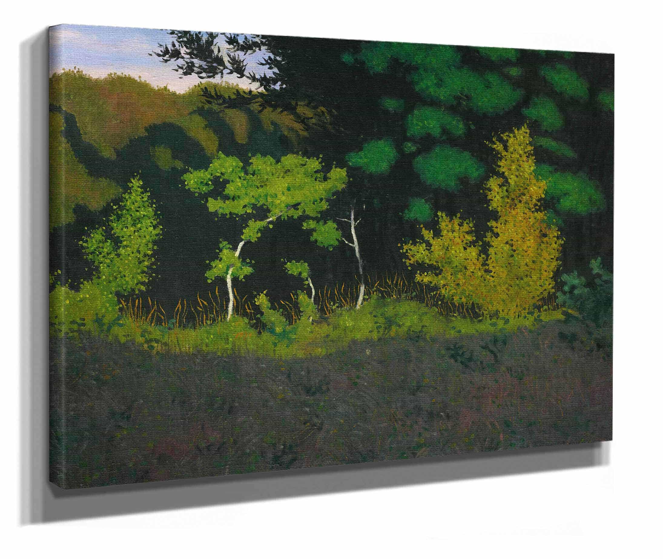 Edge Of The Wood by Felix Vallotton