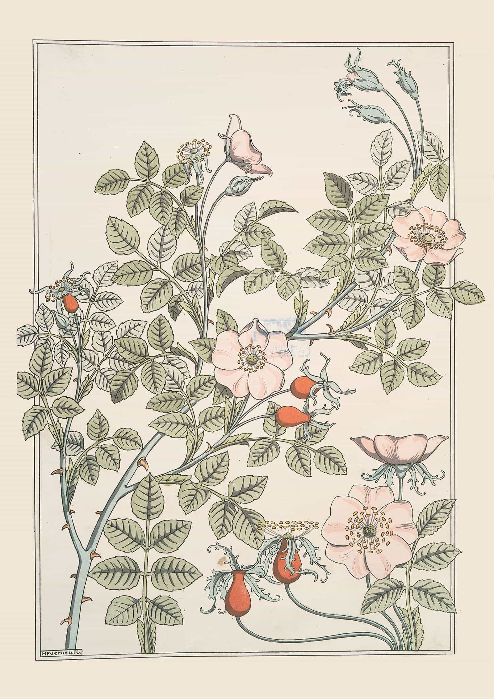 Eglantier by Maurice Pillard Verneuil