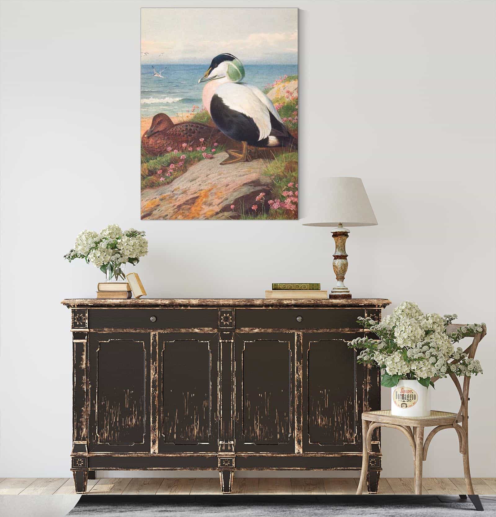 Eider Duck by Archibald Thorburn