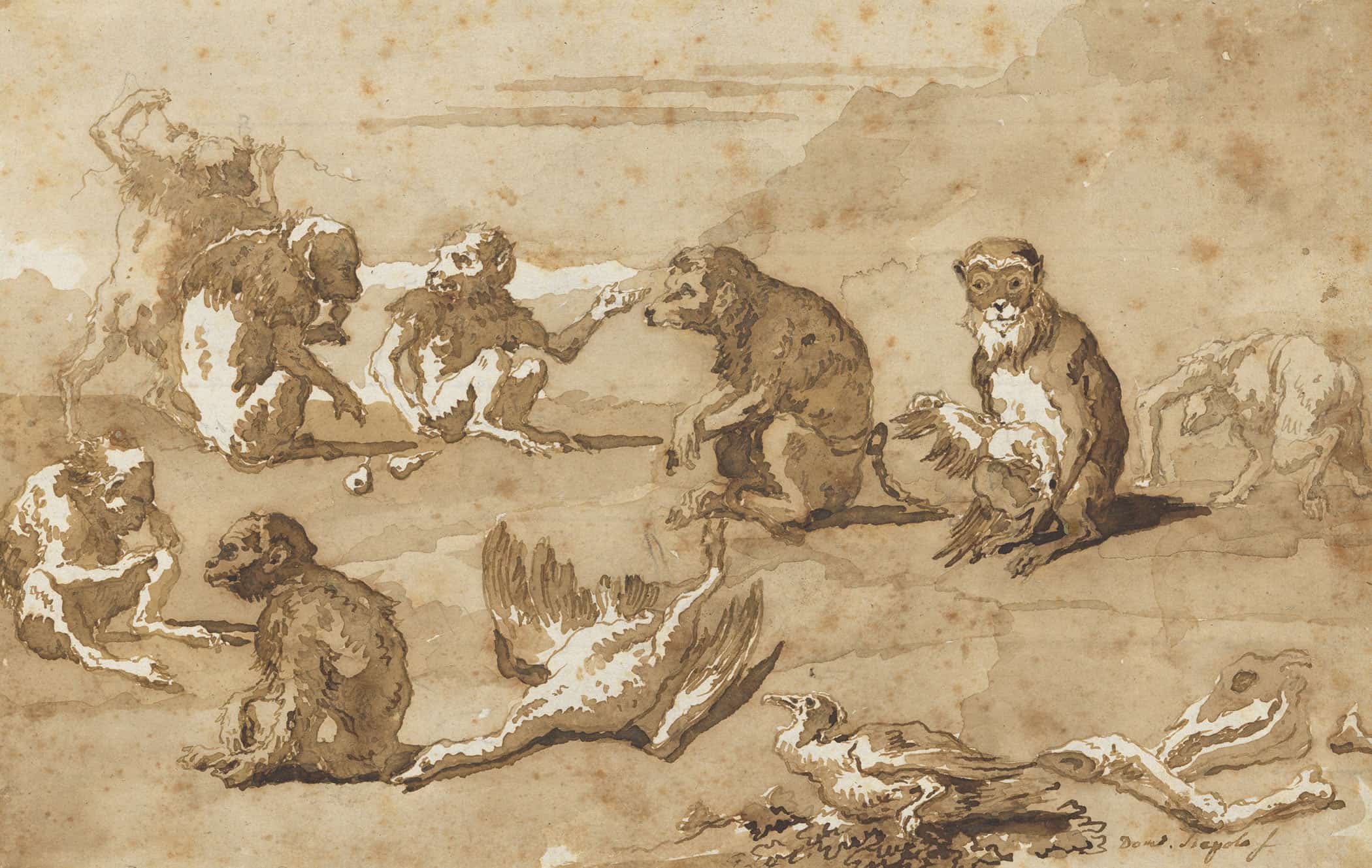 Eight Monkeys A Dead Goose And A Cormorant Mid Th Early Th Century by Giovanni Domenico Tiepolo