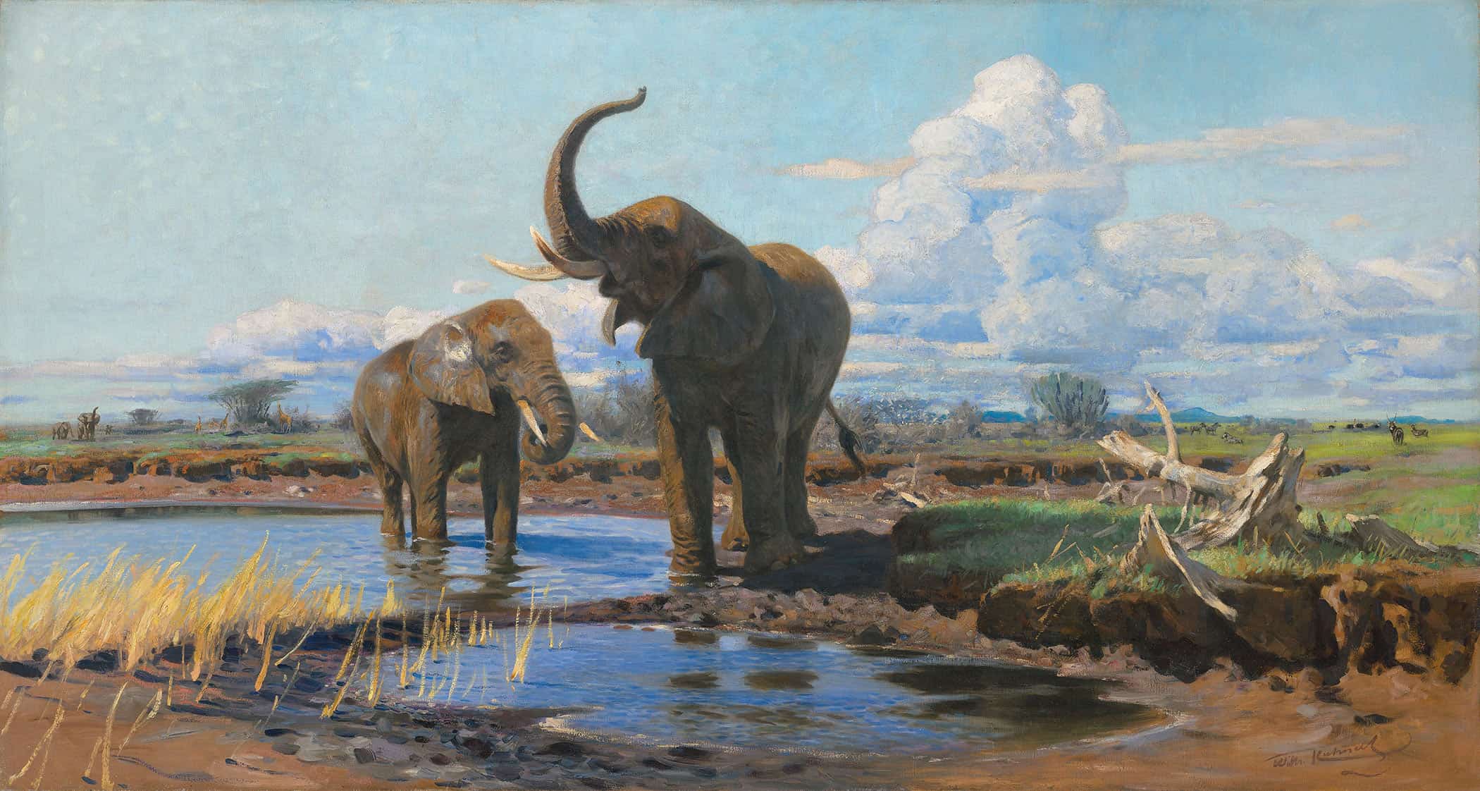 Elephants At A Waterhole by Wilhelm Kuhnert