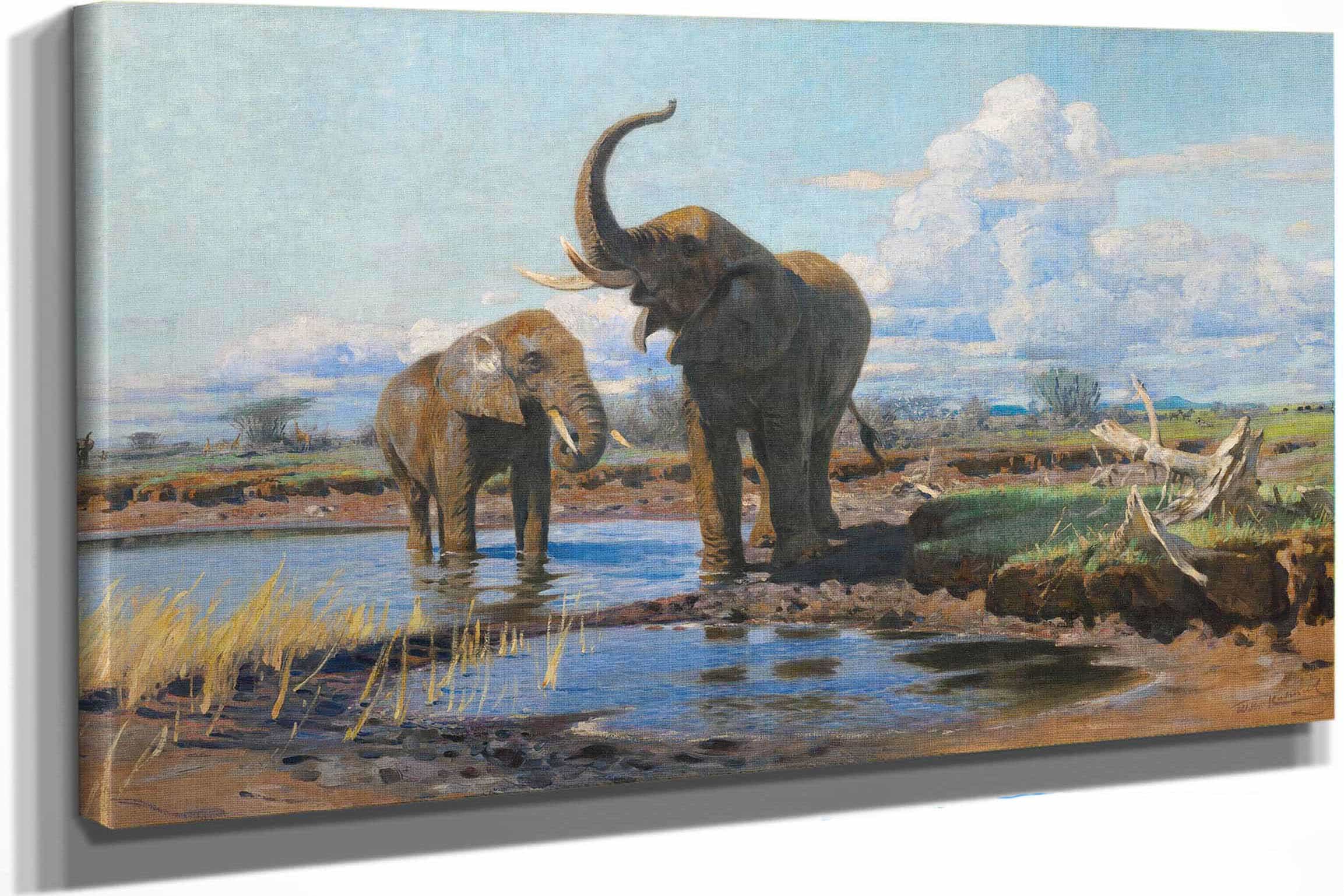 Elephants At A Waterhole by Wilhelm Kuhnert