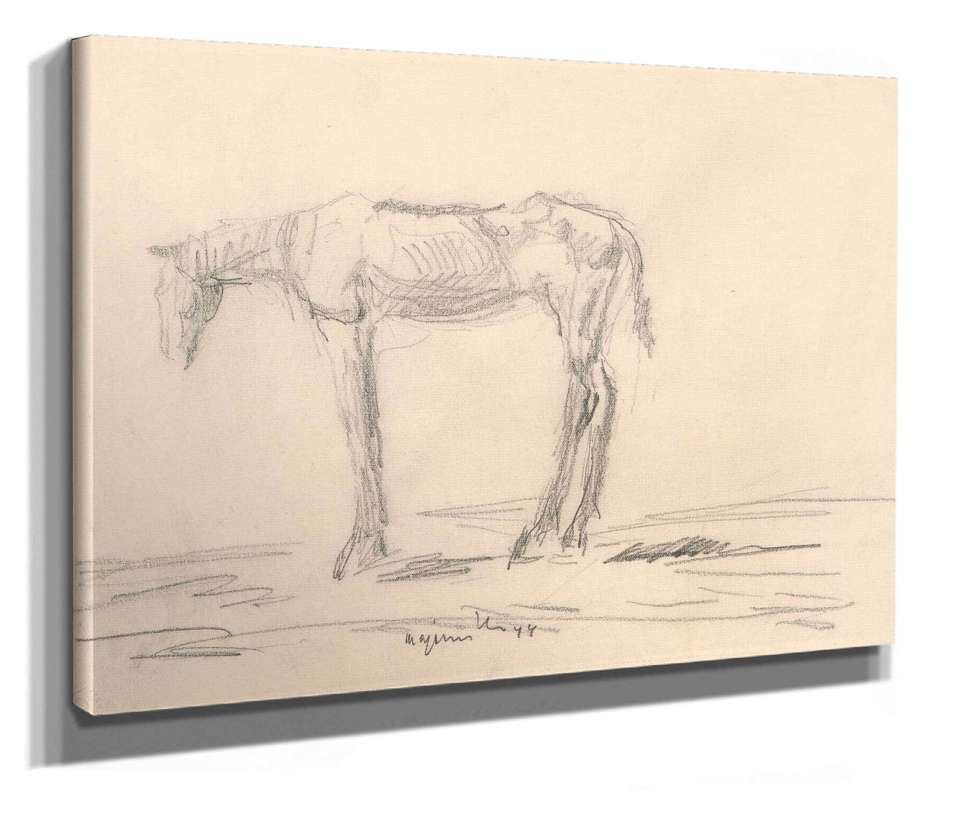 Emaciated Horse by Cyprian Majernik