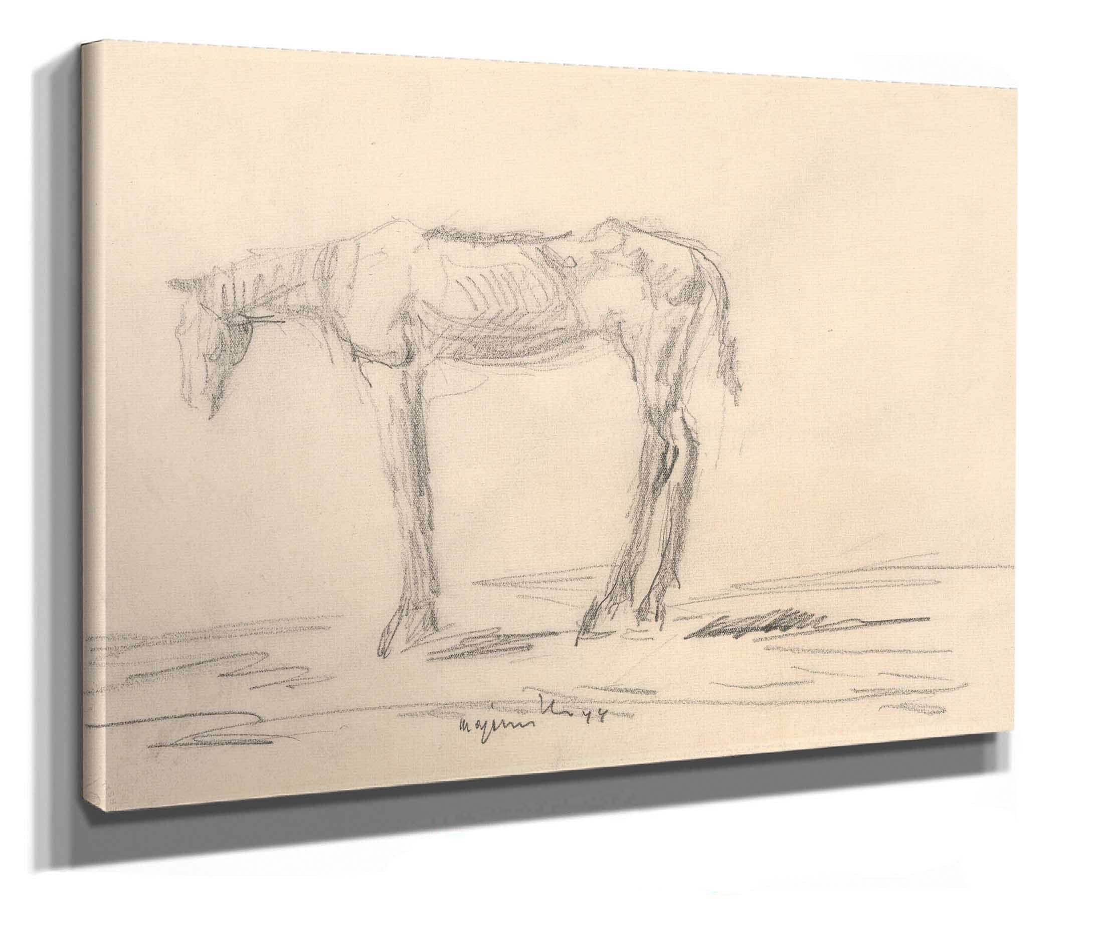 Emaciated Horse by Cyprian Majernik