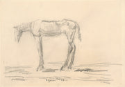 Emaciated Horse by Cyprian Majernik
