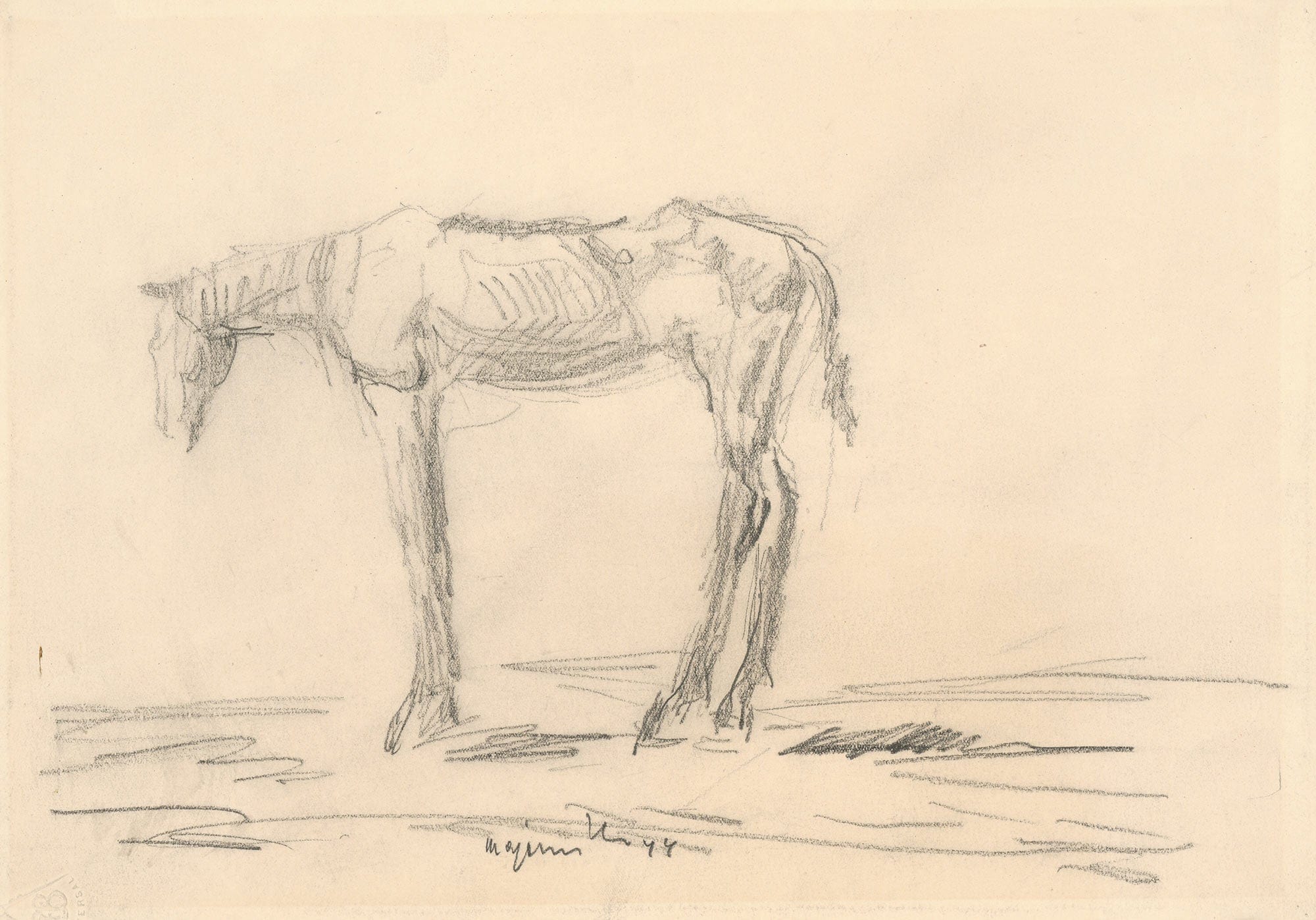 Emaciated Horse by Cyprian Majernik