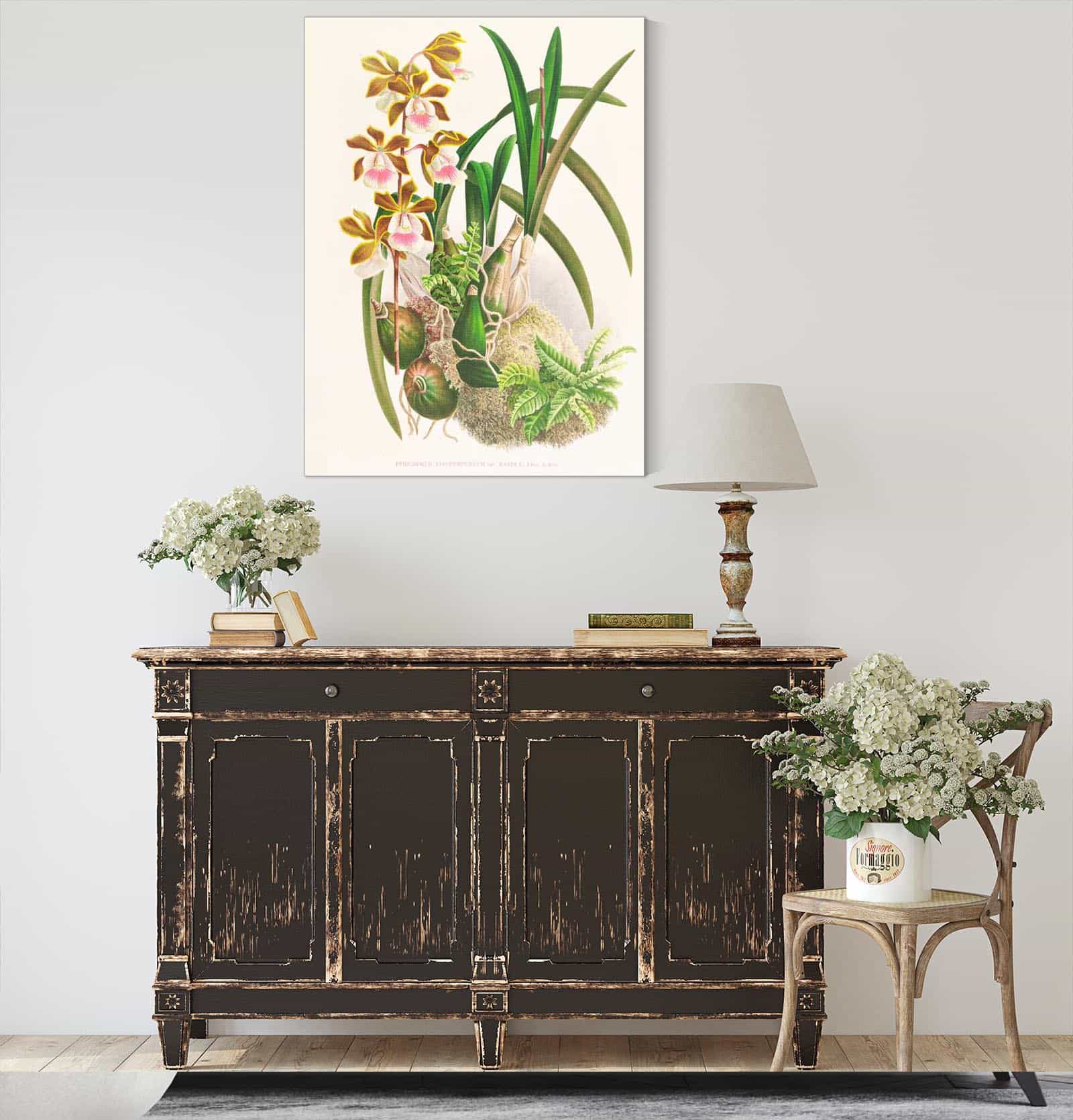Epidendrum Atropurpureum by Jean Jules Linden