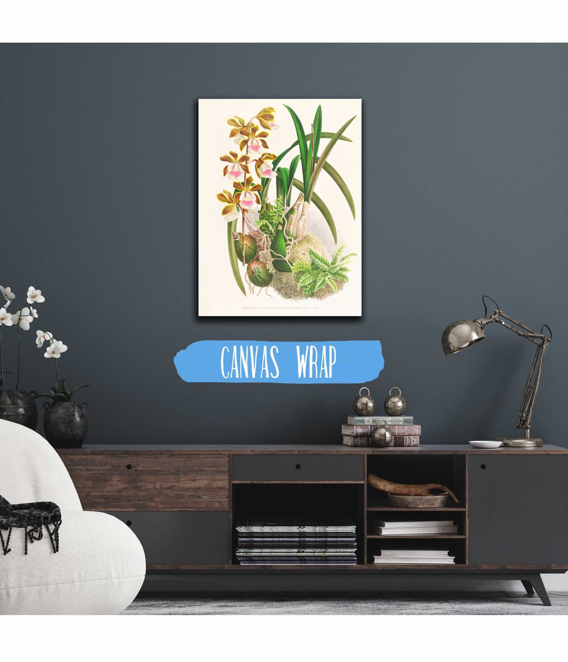 Epidendrum Atropurpureum by Jean Jules Linden