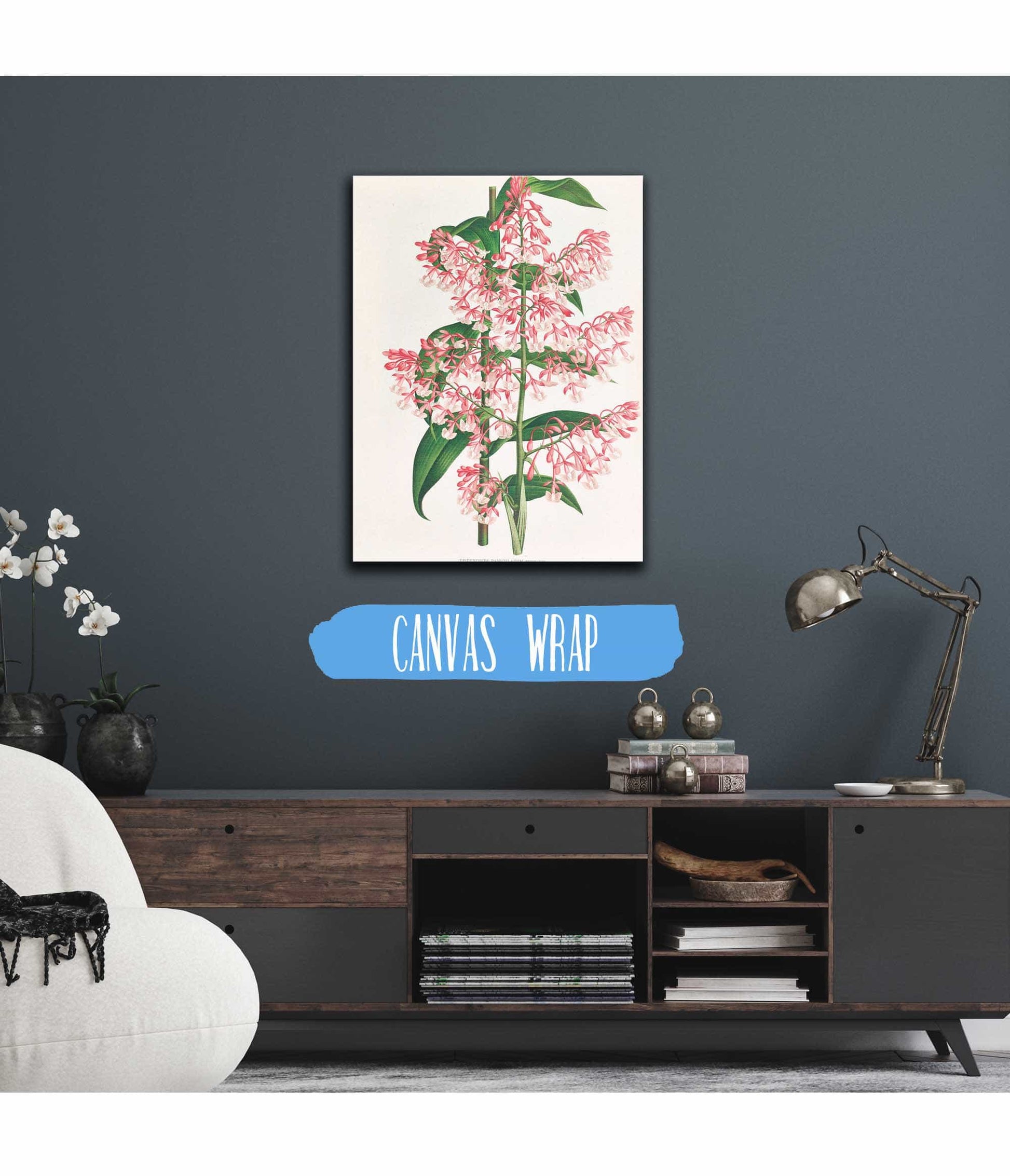 Epidendrum Paniculatum by Jean Jules Linden