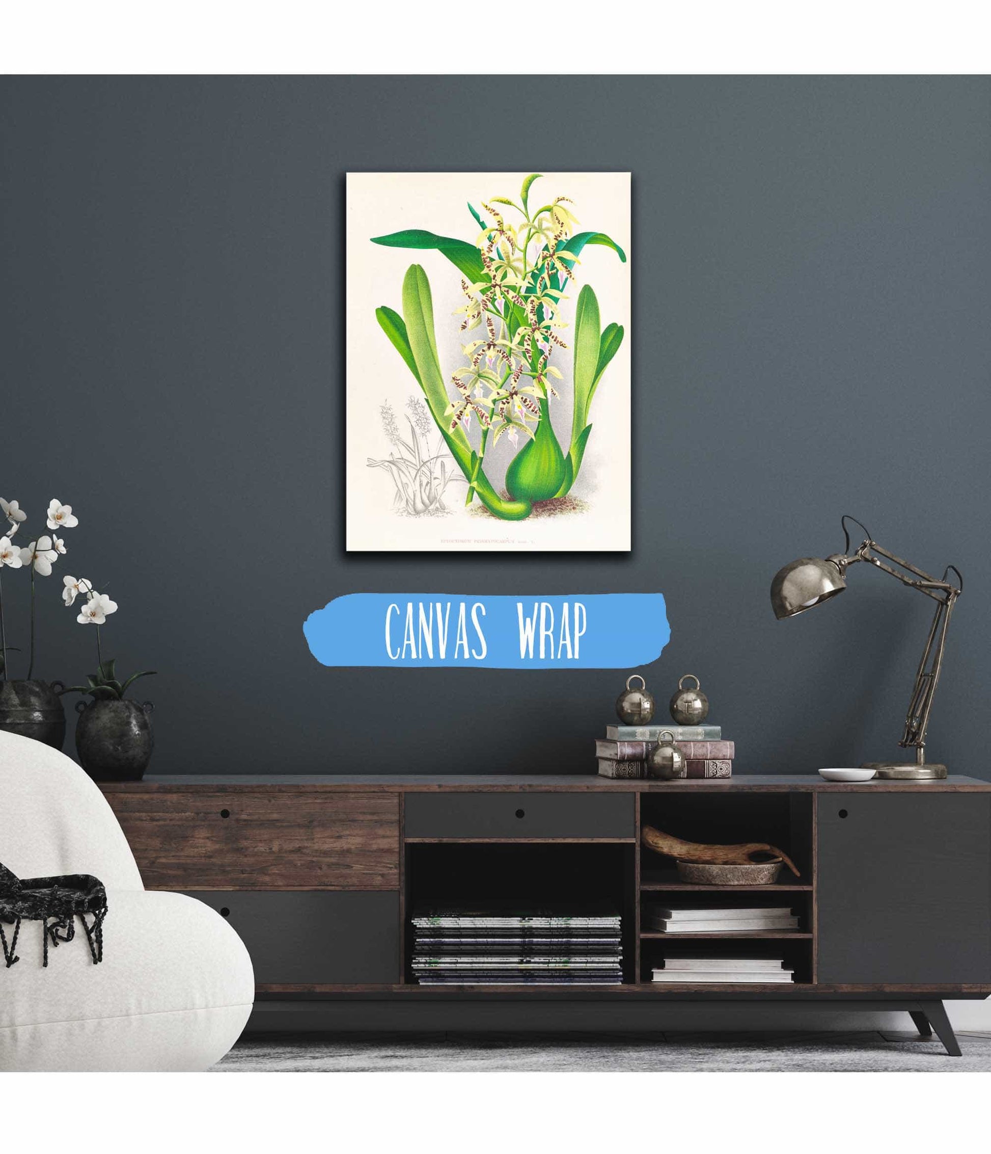 Epidendrum Prismatocarpum by Jean Jules Linden
