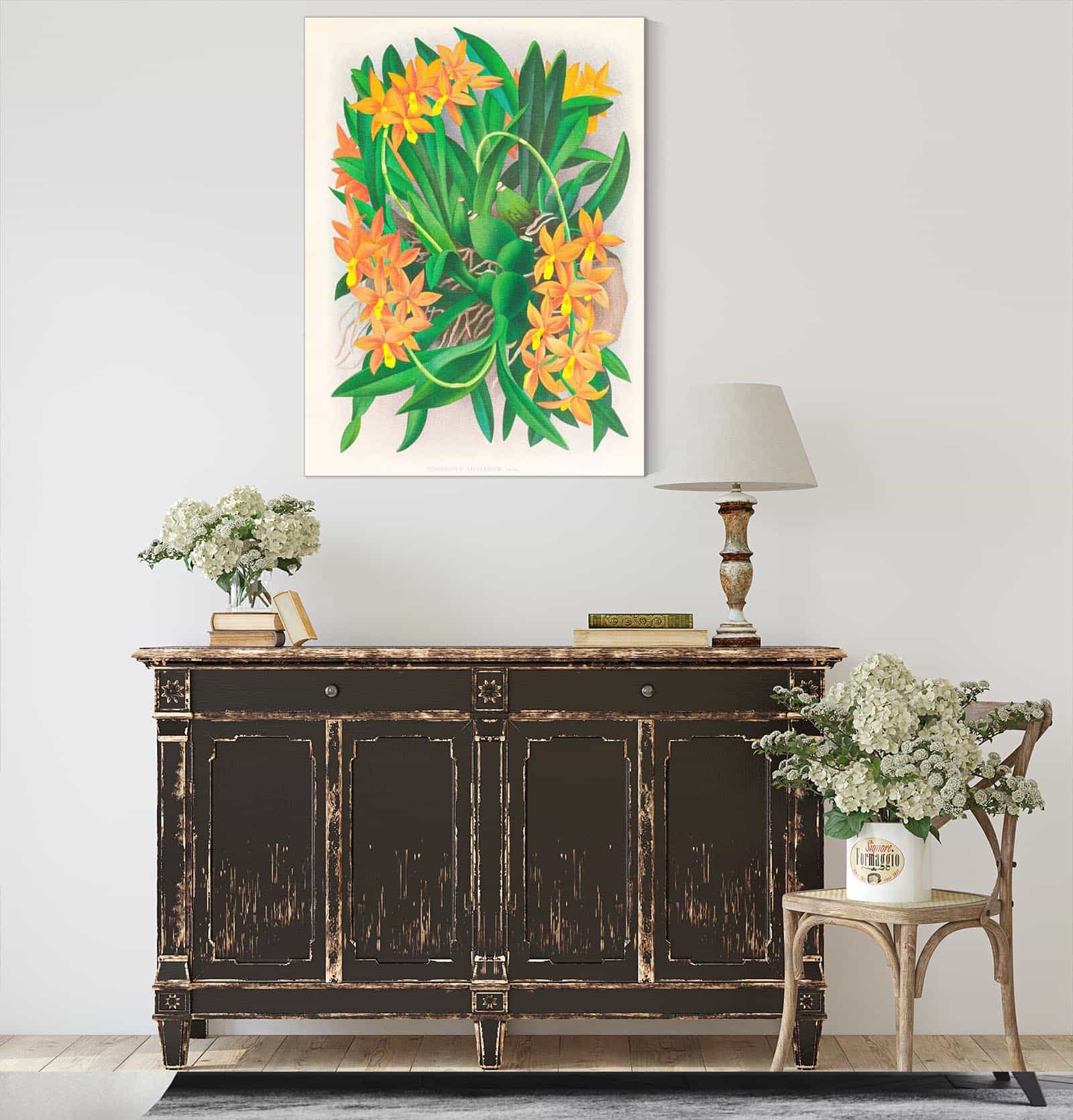 Epidendrum Vitellinum by Jean Jules Linden