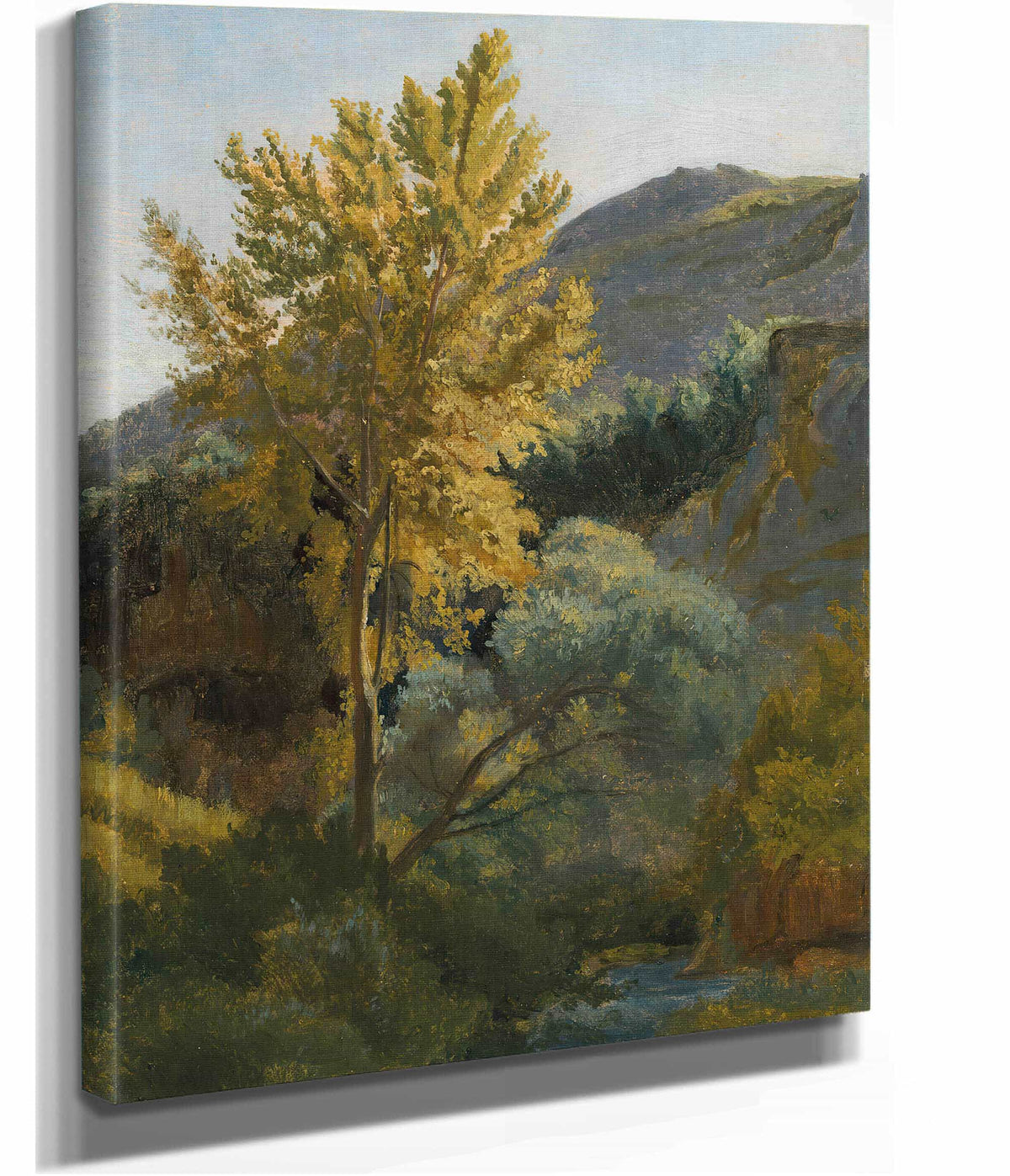 Etude Darbre Pres Dun Torrent En Italie by Jean Baptiste Camille Corot