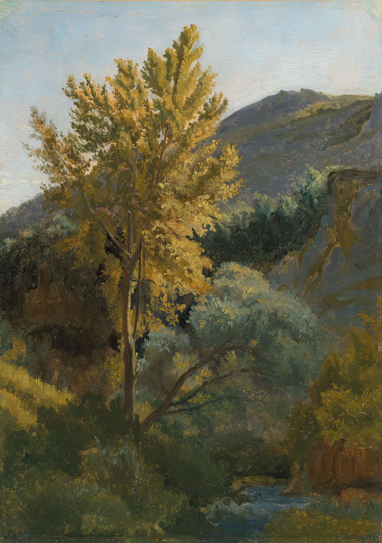 Etude Darbre Pres Dun Torrent En Italie by Jean Baptiste Camille Corot
