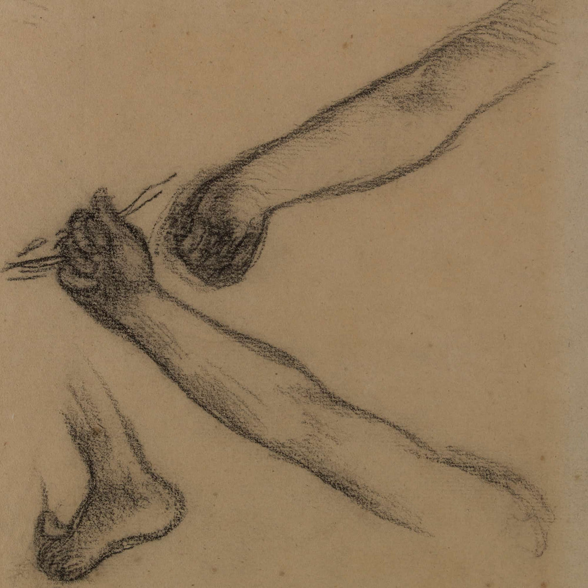 Etude De Bras Et De Pieds by Pierre Puvis De Chavannes