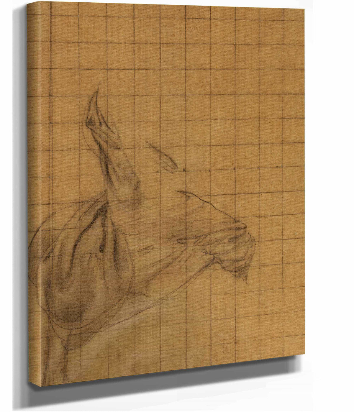 Etude De Draperie by Pierre Puvis De Chavannes