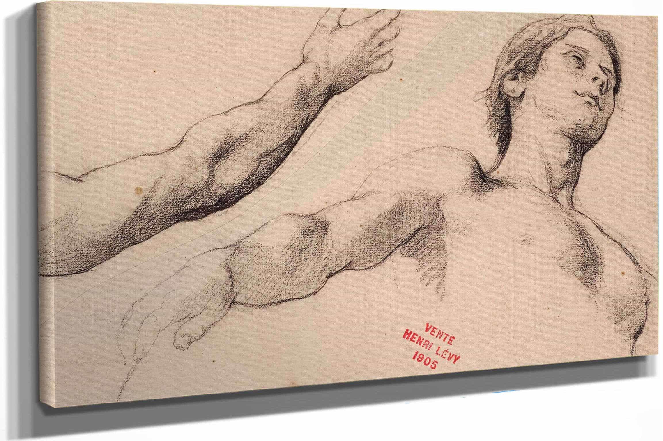 Etude De Jeune Homme En Buste Et Etude Dun Bras by Henri Leopold Levy