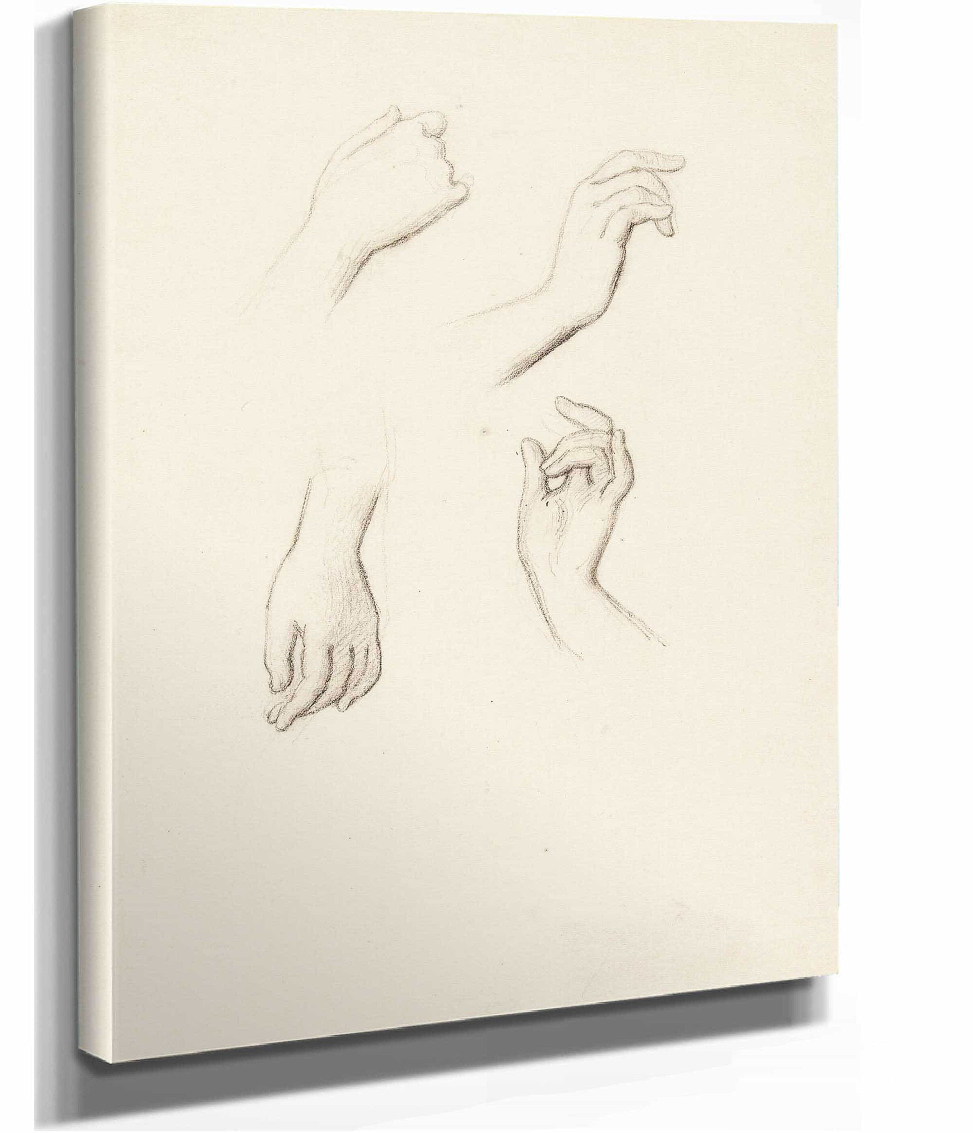Etude De Mains Iv by Narcisse Virgile Diaz De La Pena