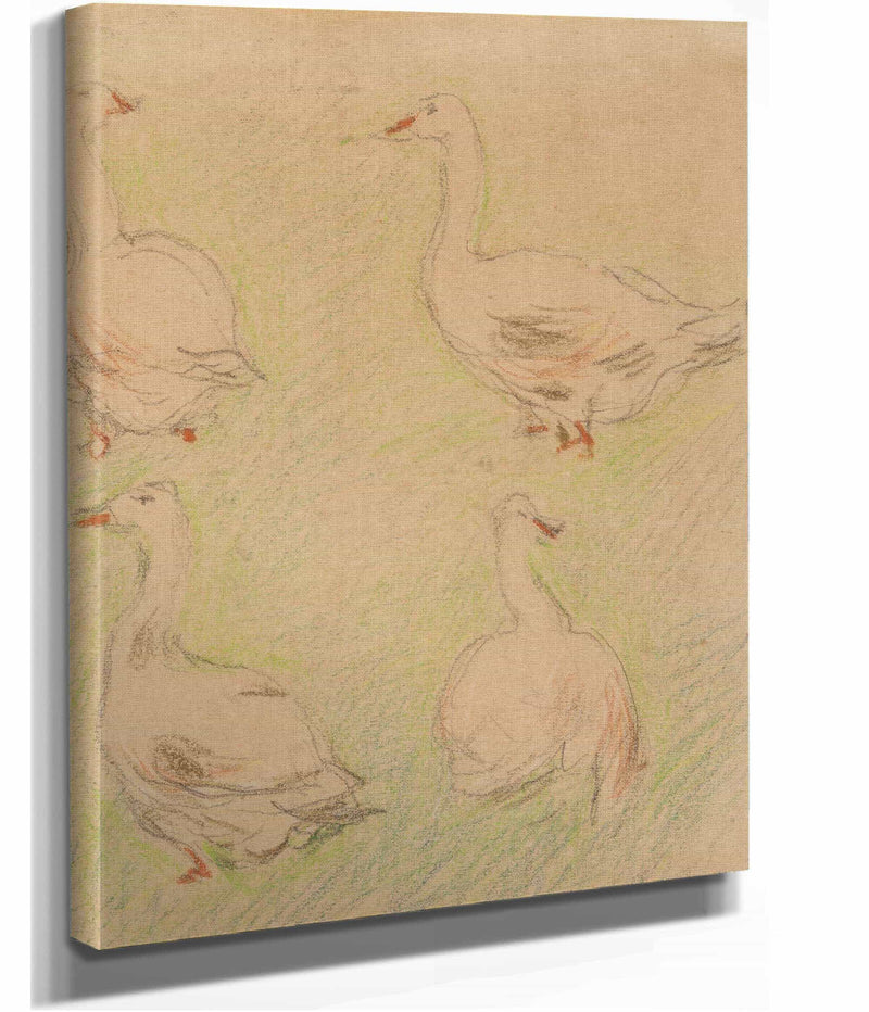 Etude De Quatre Oies by Alfred Sisley