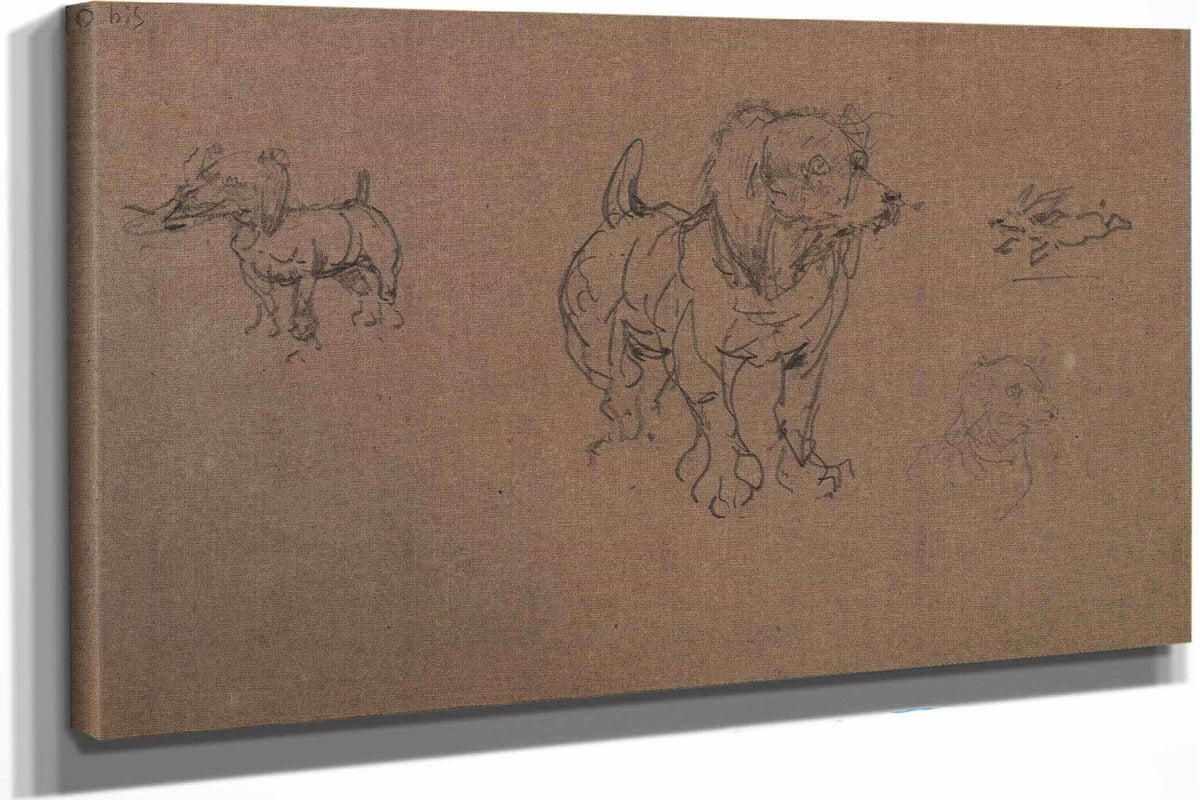 Etudes De Chiens by Henri De Toulouse Lautrec