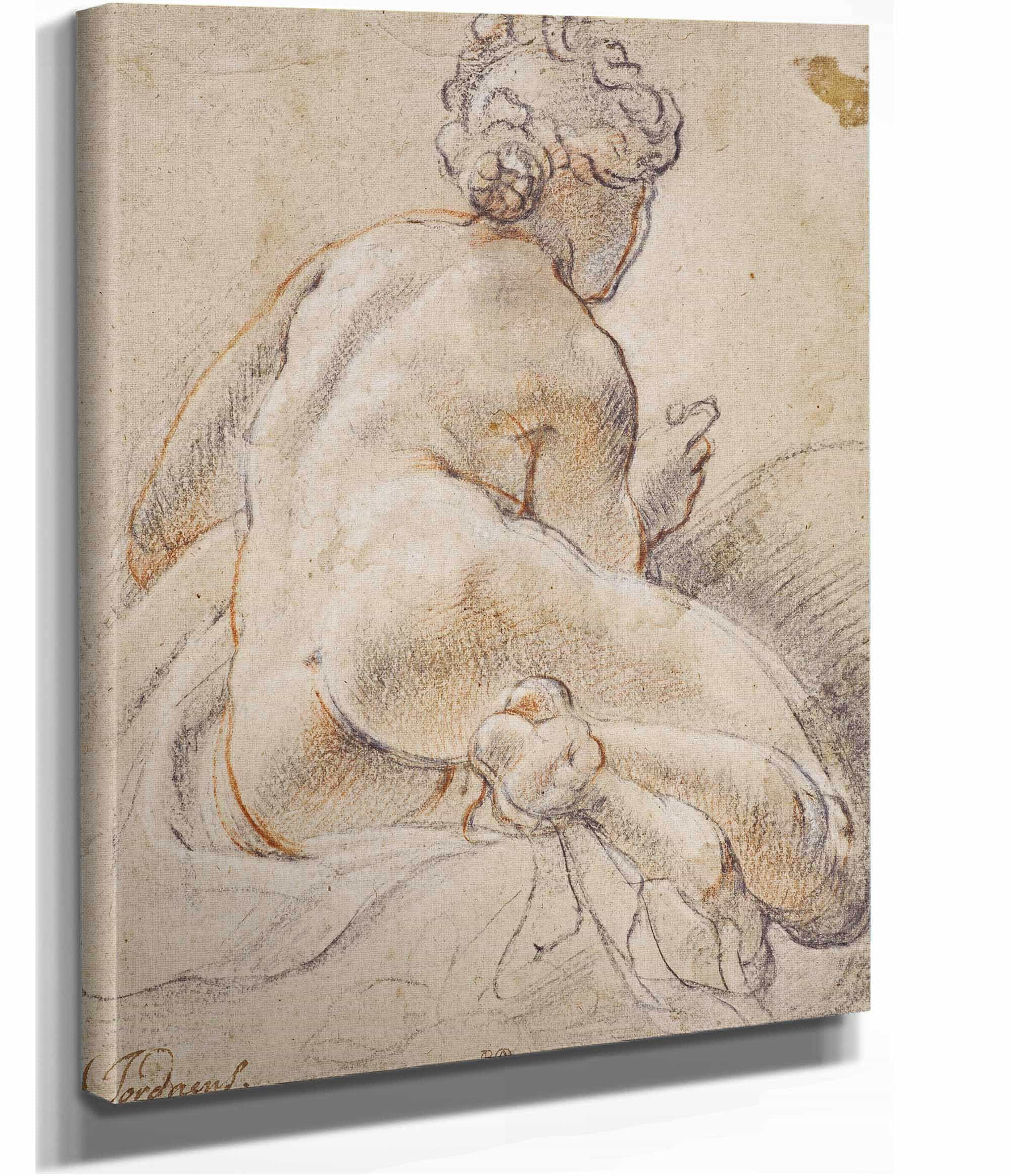 Female Nude Seen From The Back by Jacob Jordaens