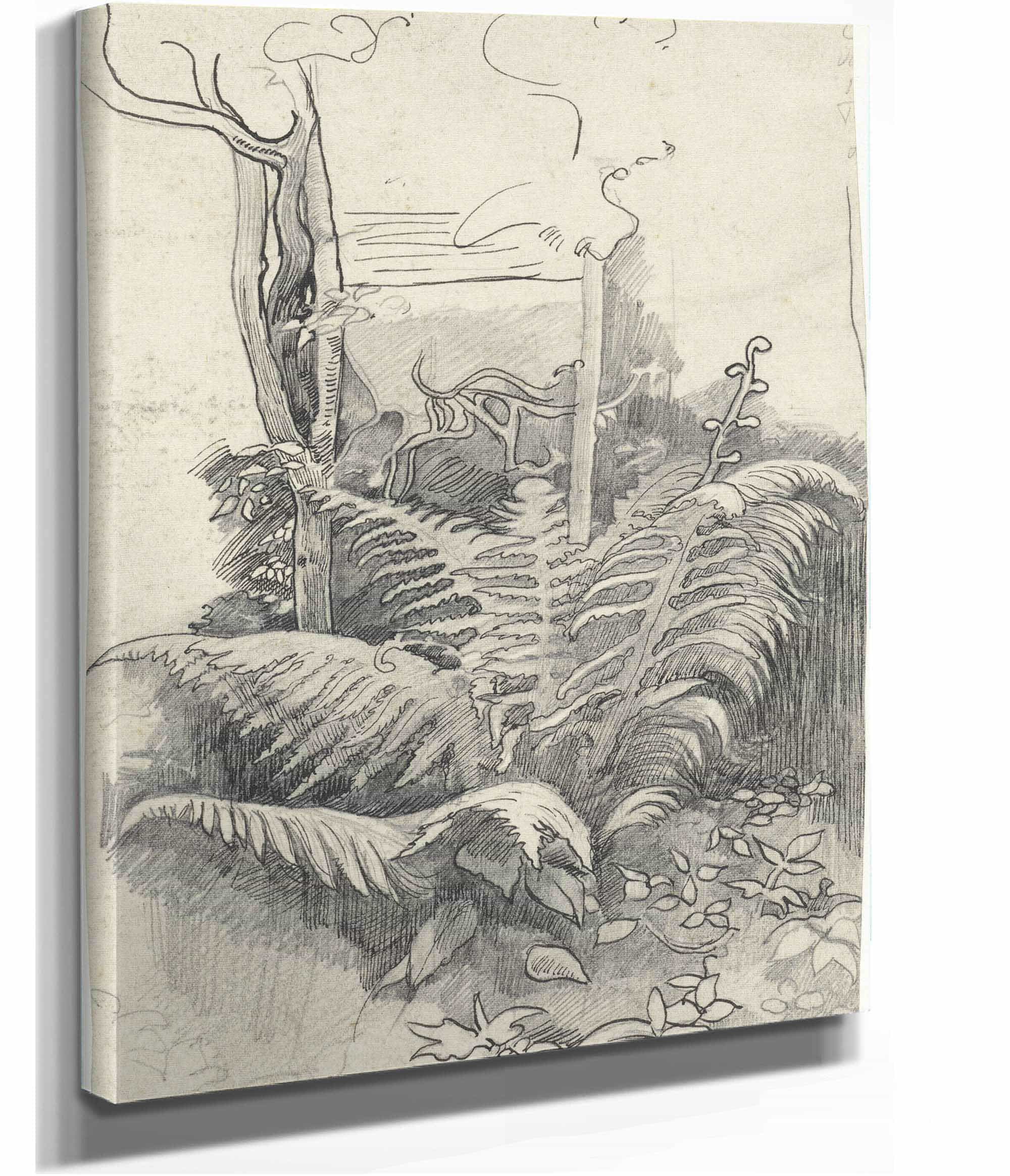 Fern  by Richard Nicolaus Roland Holst