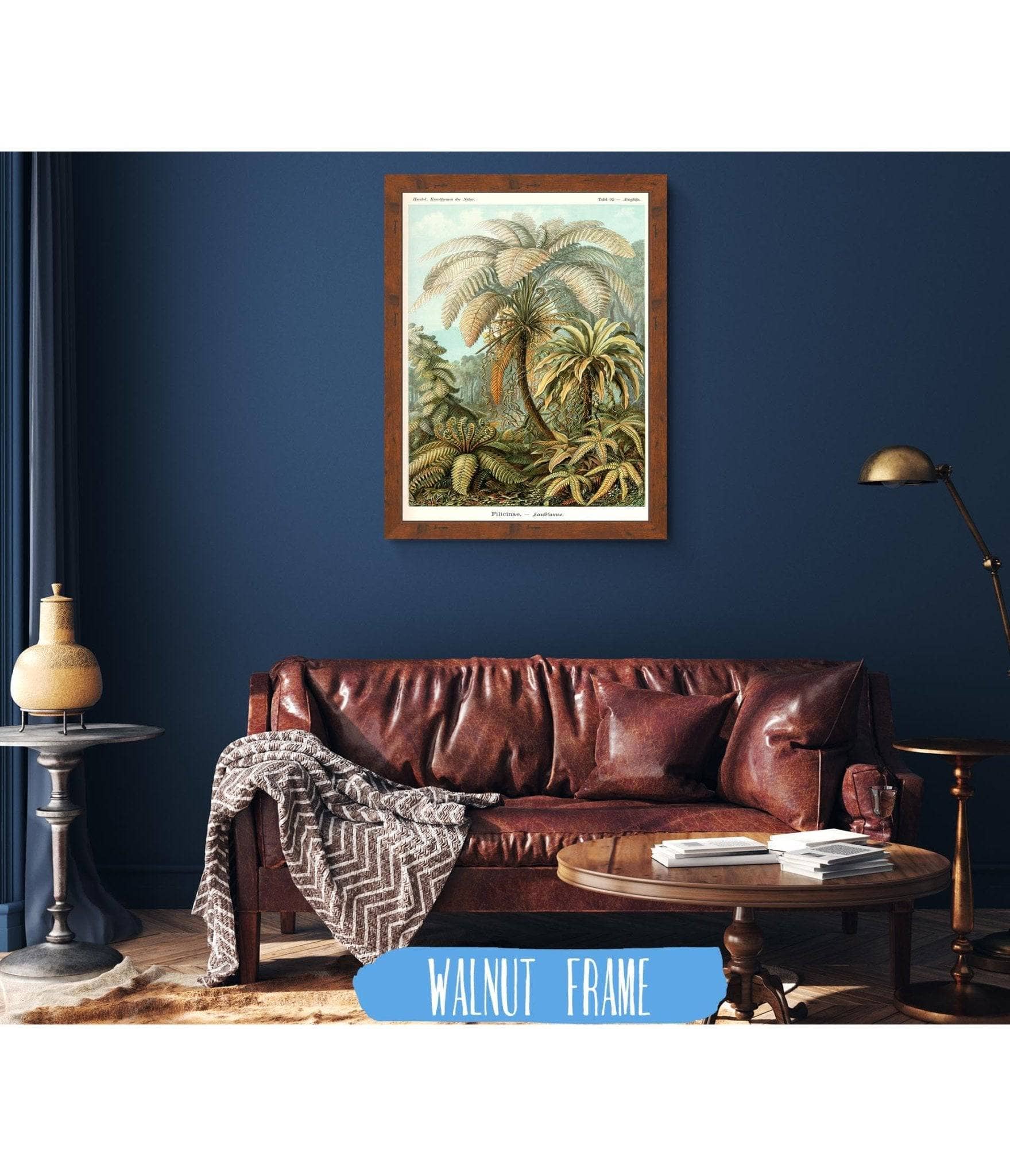 Fern (Filicinae). - Laubfarne