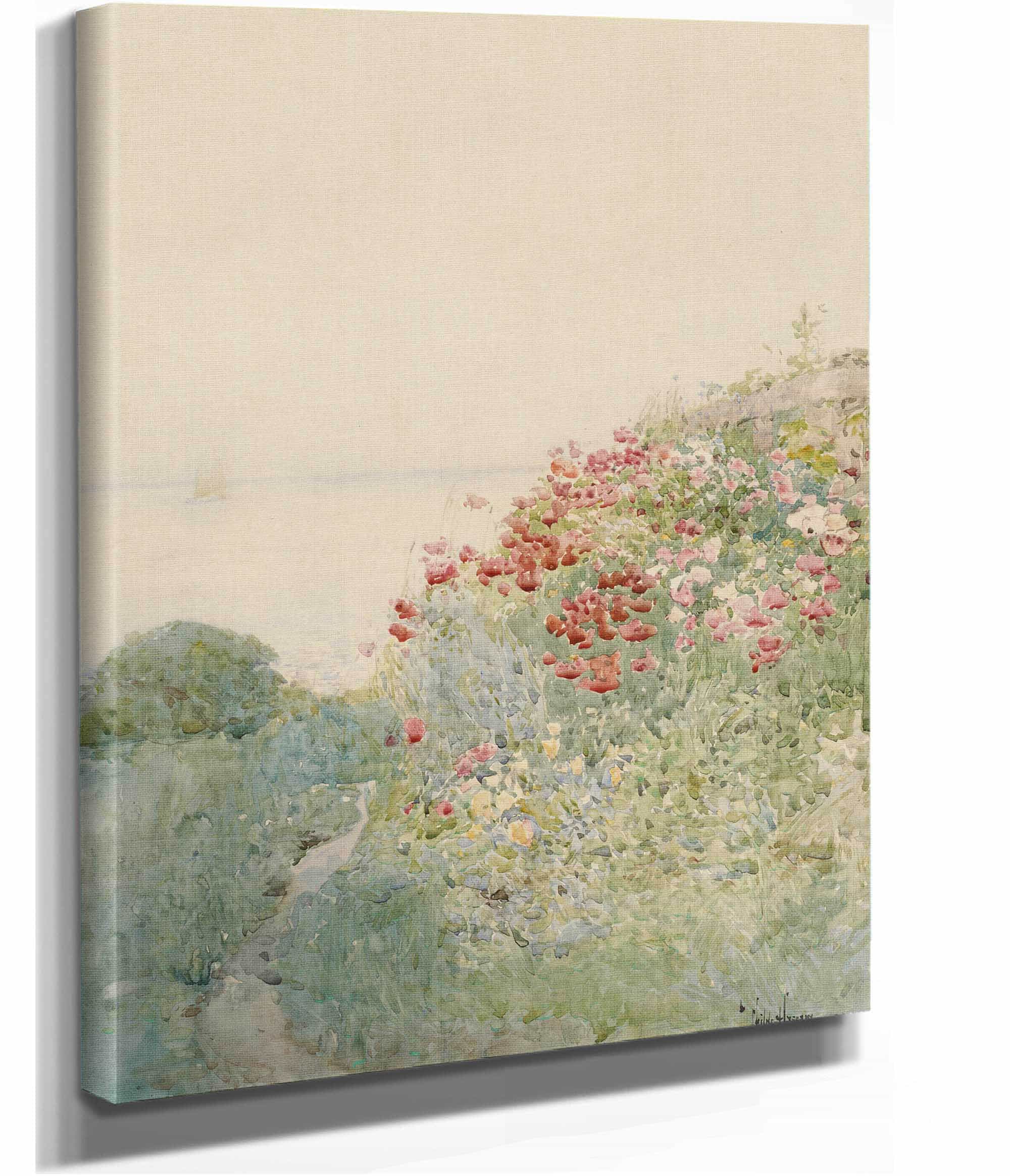 Field Of Poppies Isles Of Shoals by Childe Hassam