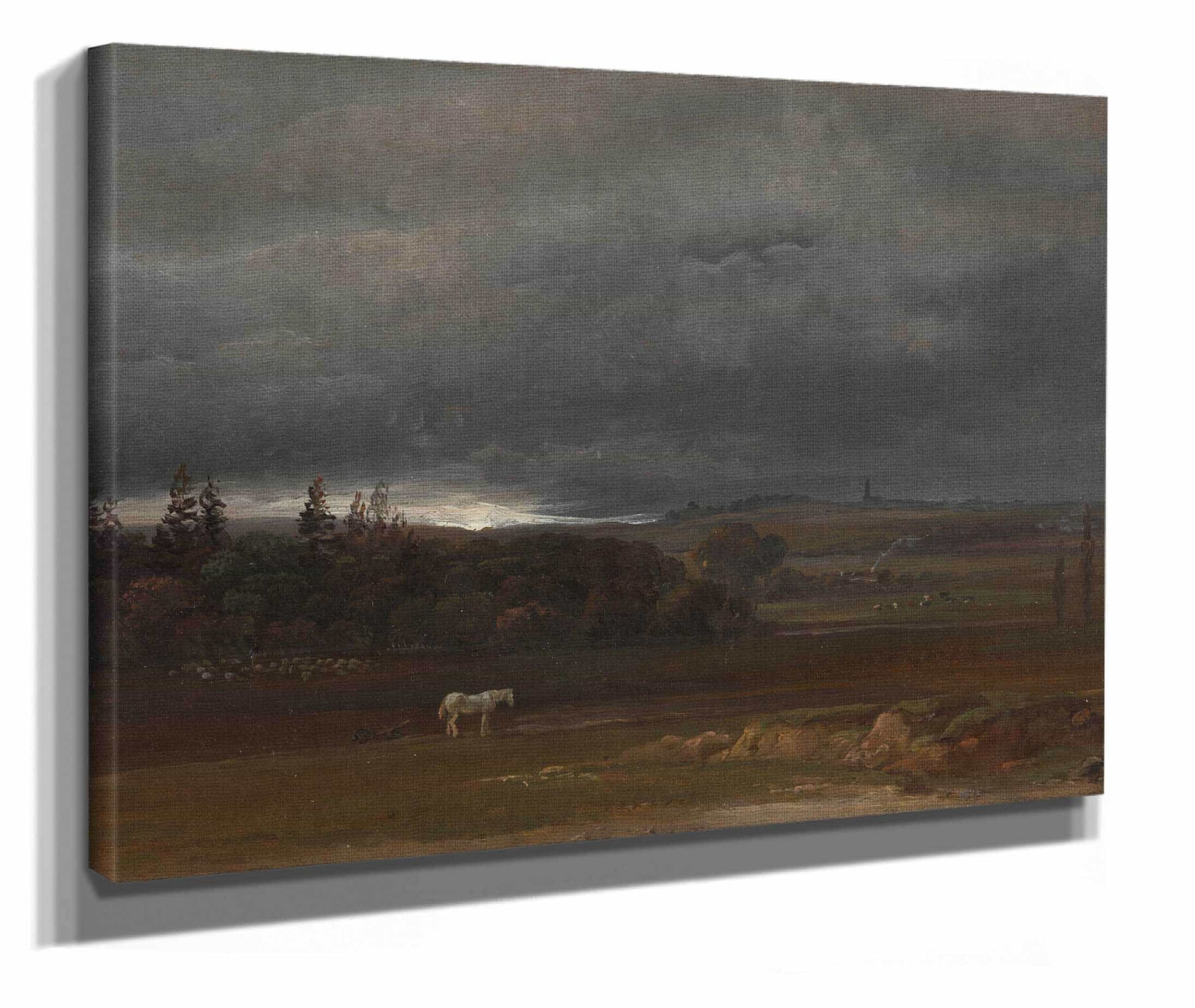 Fields Near Dresden With A White Horse by Johan Christian Dahl