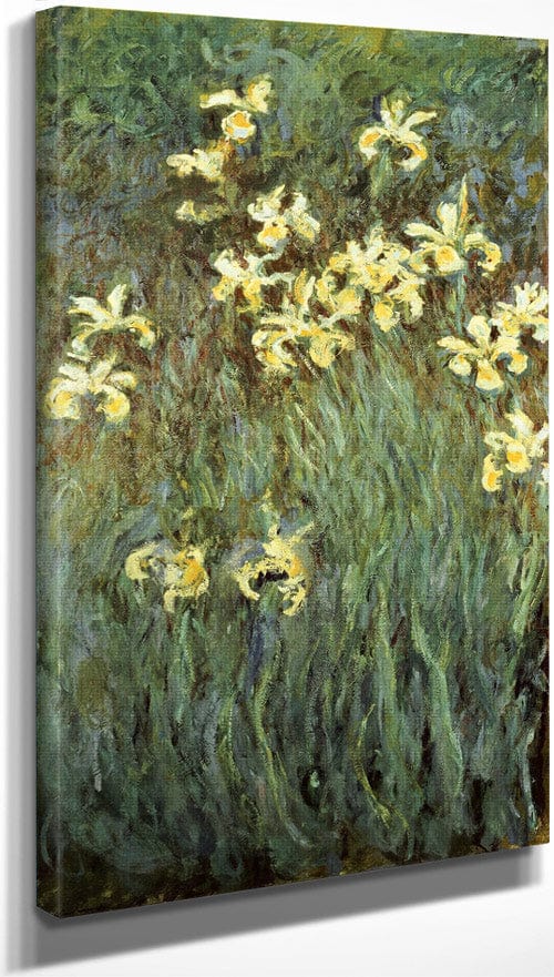 10" x 20" / Canvas Wrap Iris Jaune By Claude Monet Fine Art Print