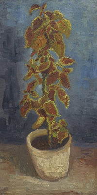 10" x 20" / Fine Art Paper Flame Nettle In A Flowerpot By Vincent Van Gogh Fine Art Print
