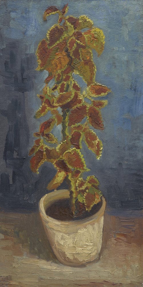 10" x 20" / Fine Art Paper Flame Nettle In A Flowerpot By Vincent Van Gogh Fine Art Print