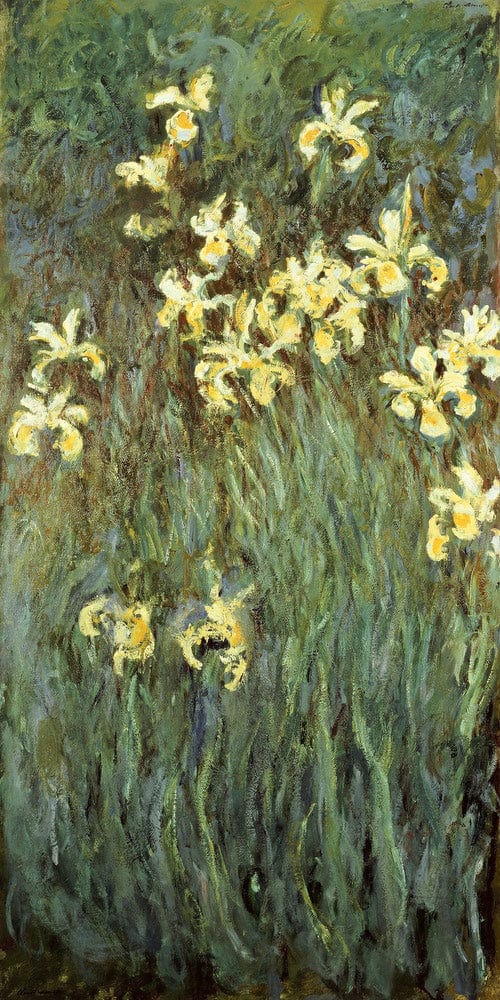 10" x 20" / Fine Art Paper Iris Jaune By Claude Monet Fine Art Print